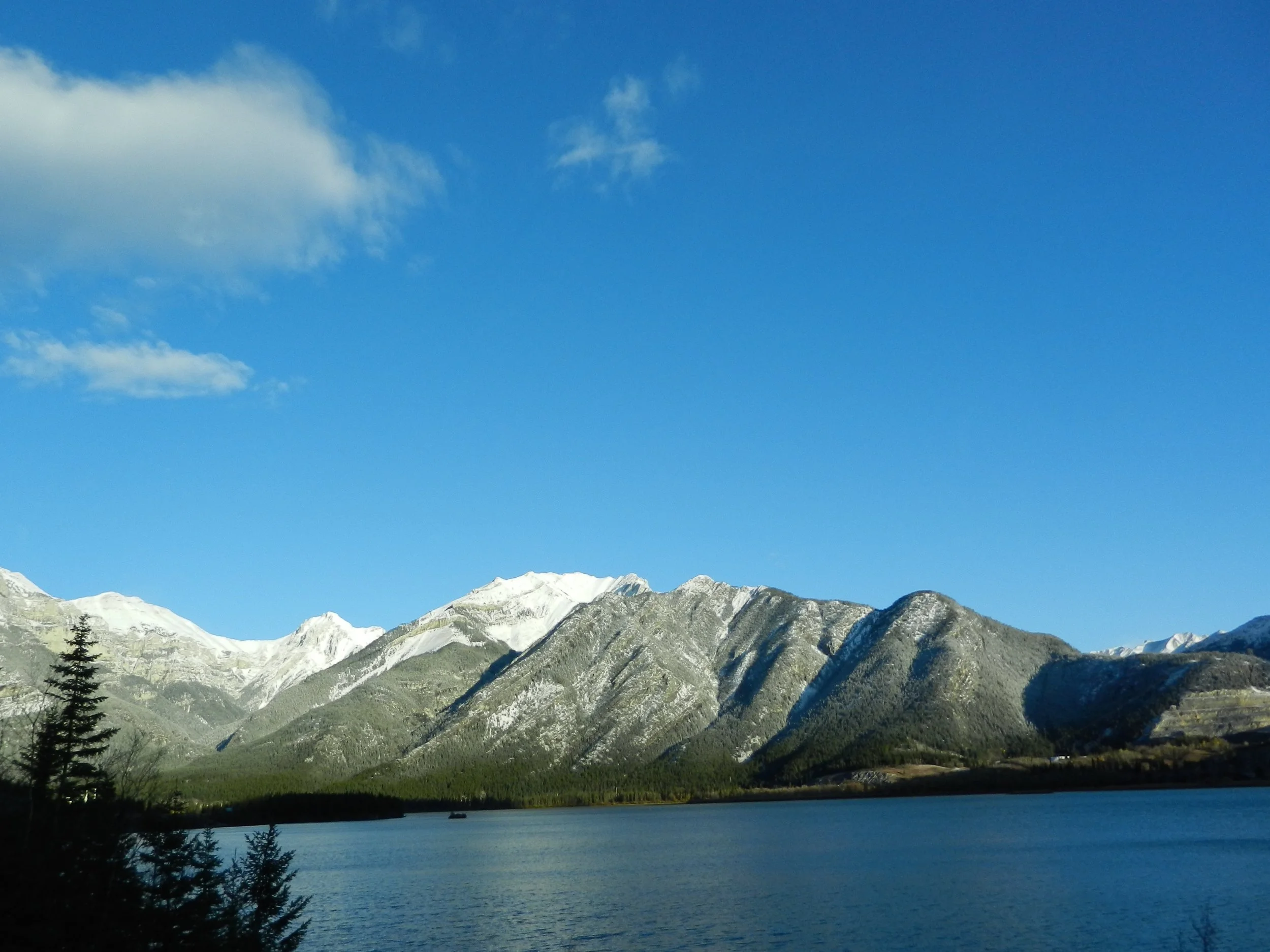 DSCN3354.jpg