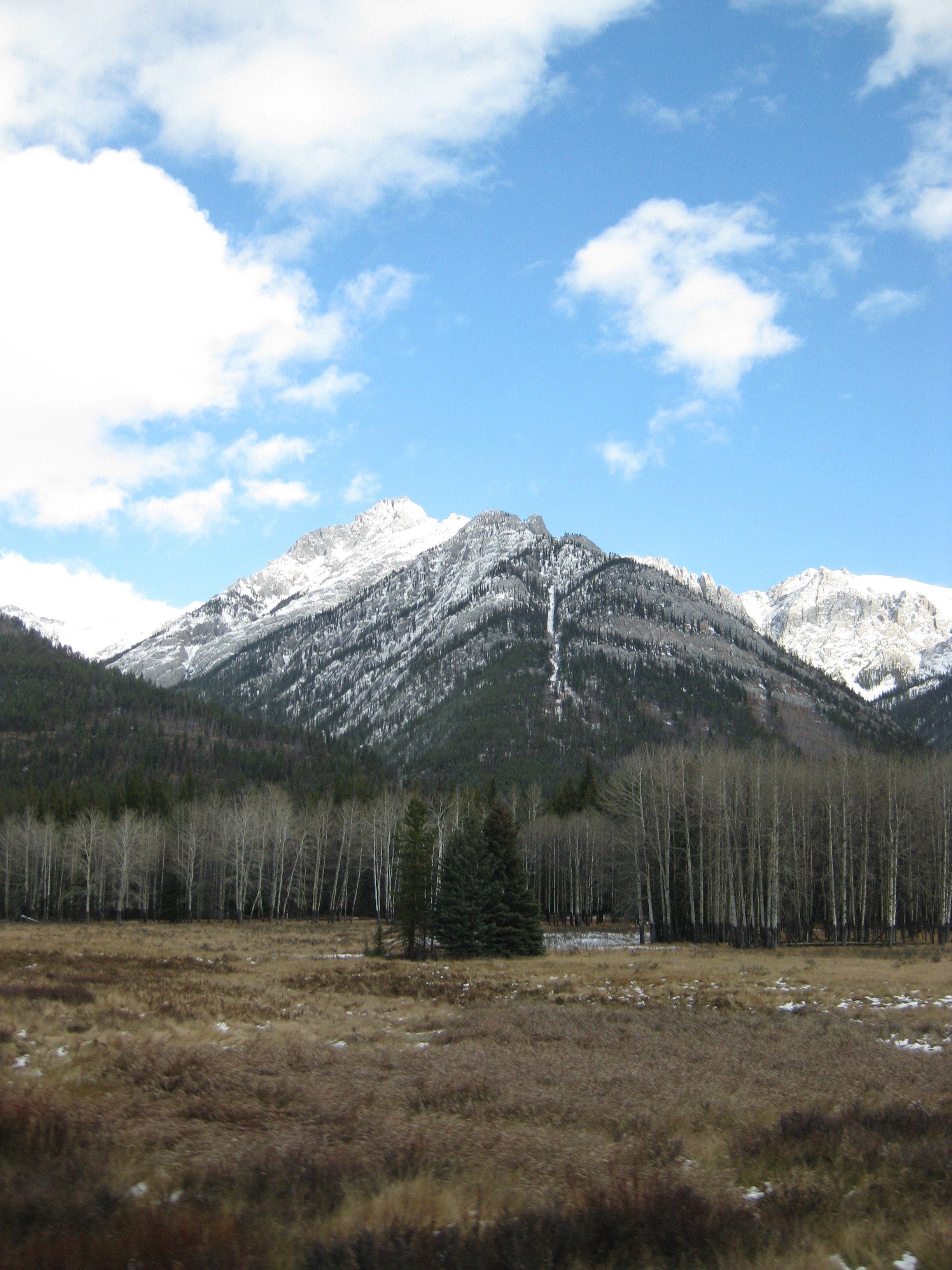 IMG_4730.jpg