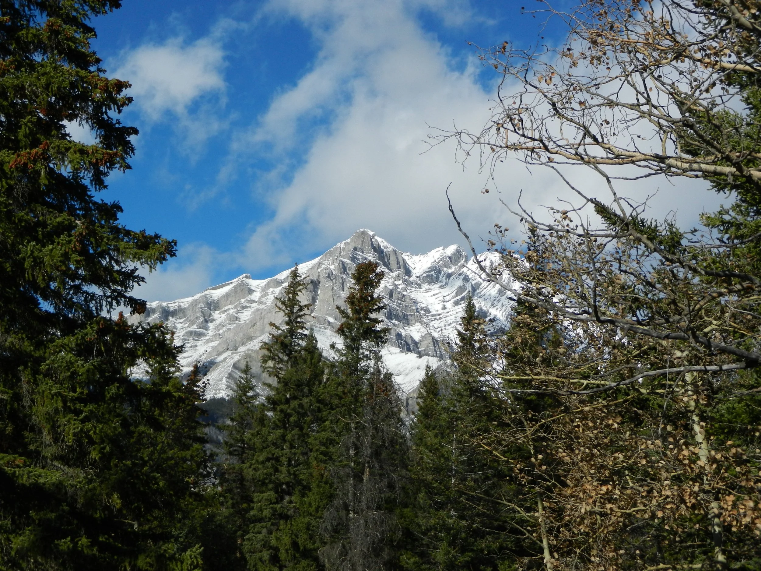 DSCN3425.jpg