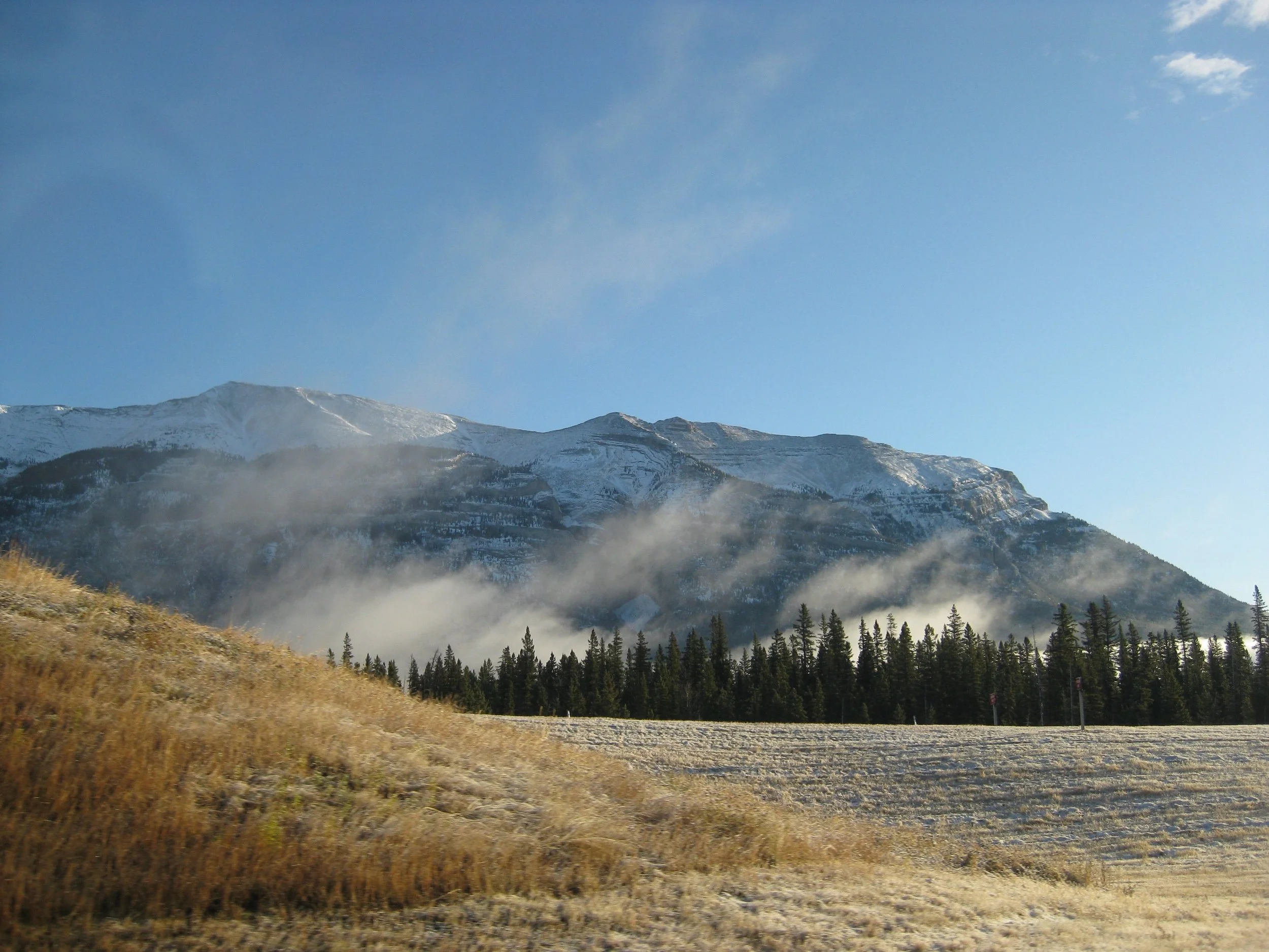 IMG_4208.jpg
