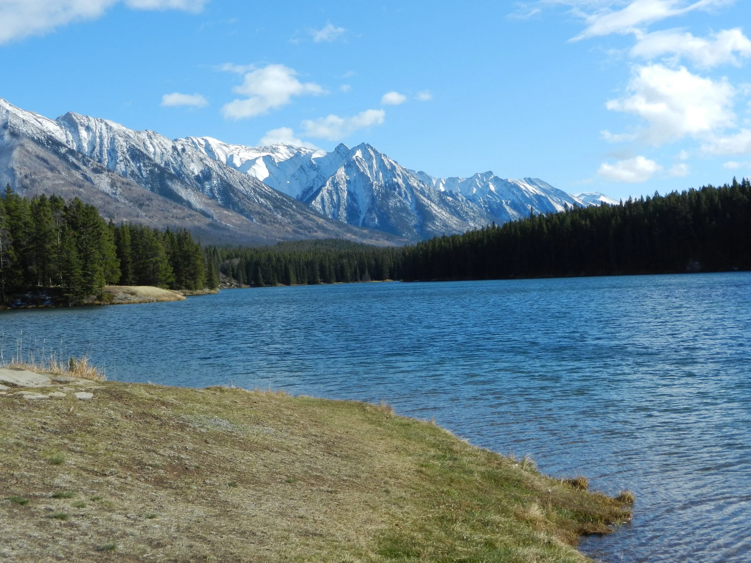 DSCN3555.jpg