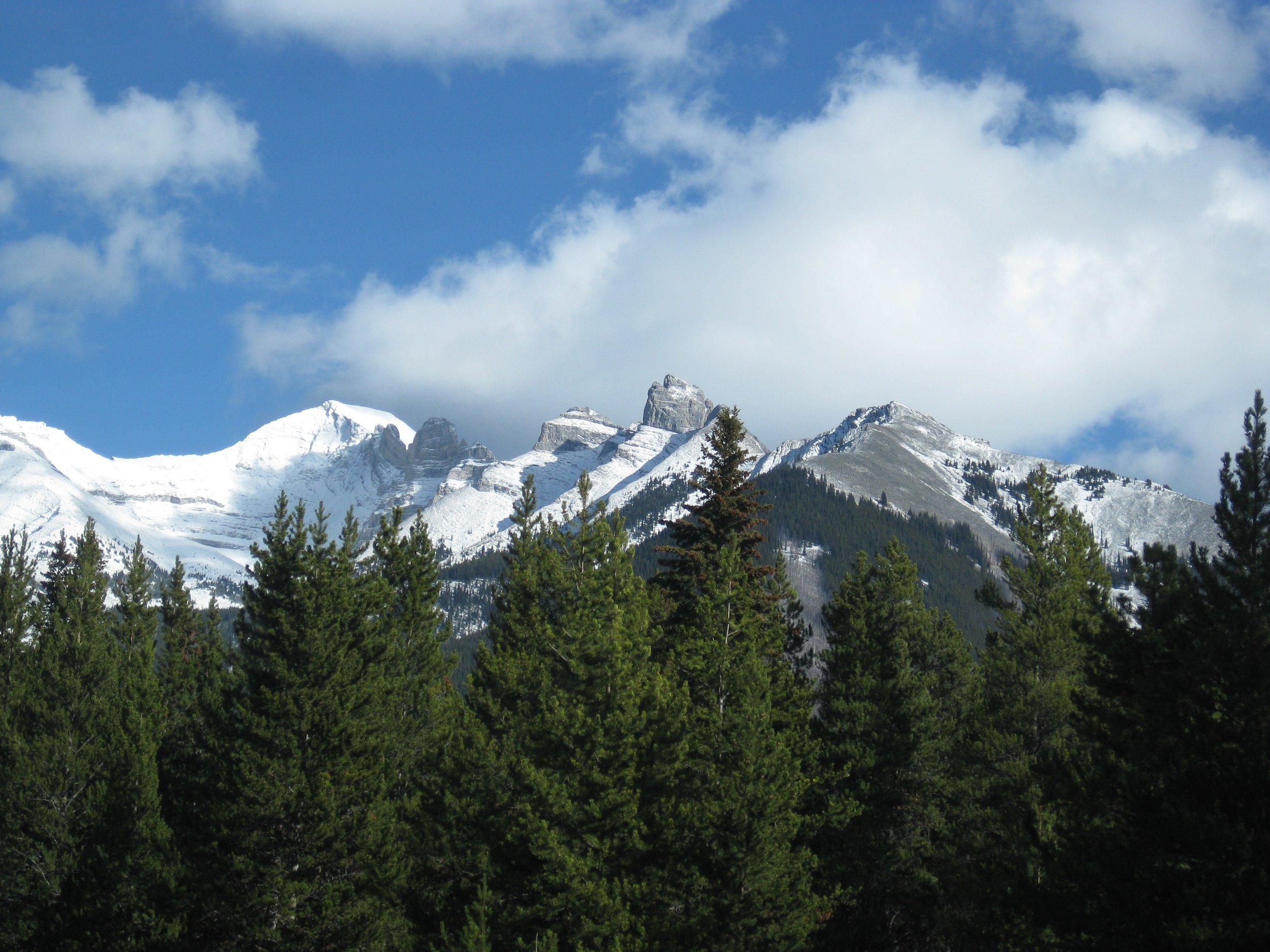 IMG_4574.jpg