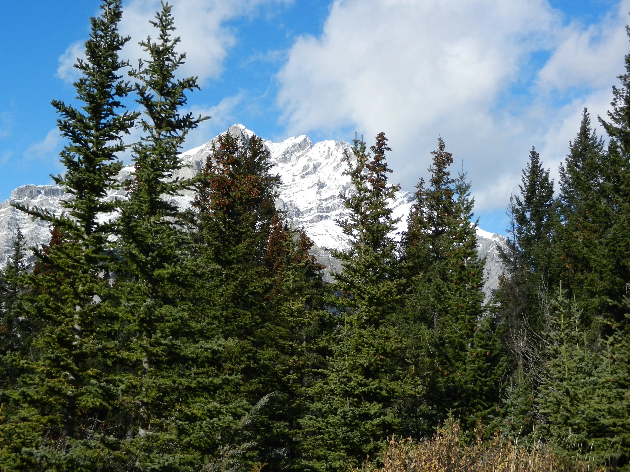 DSCN3409.jpg