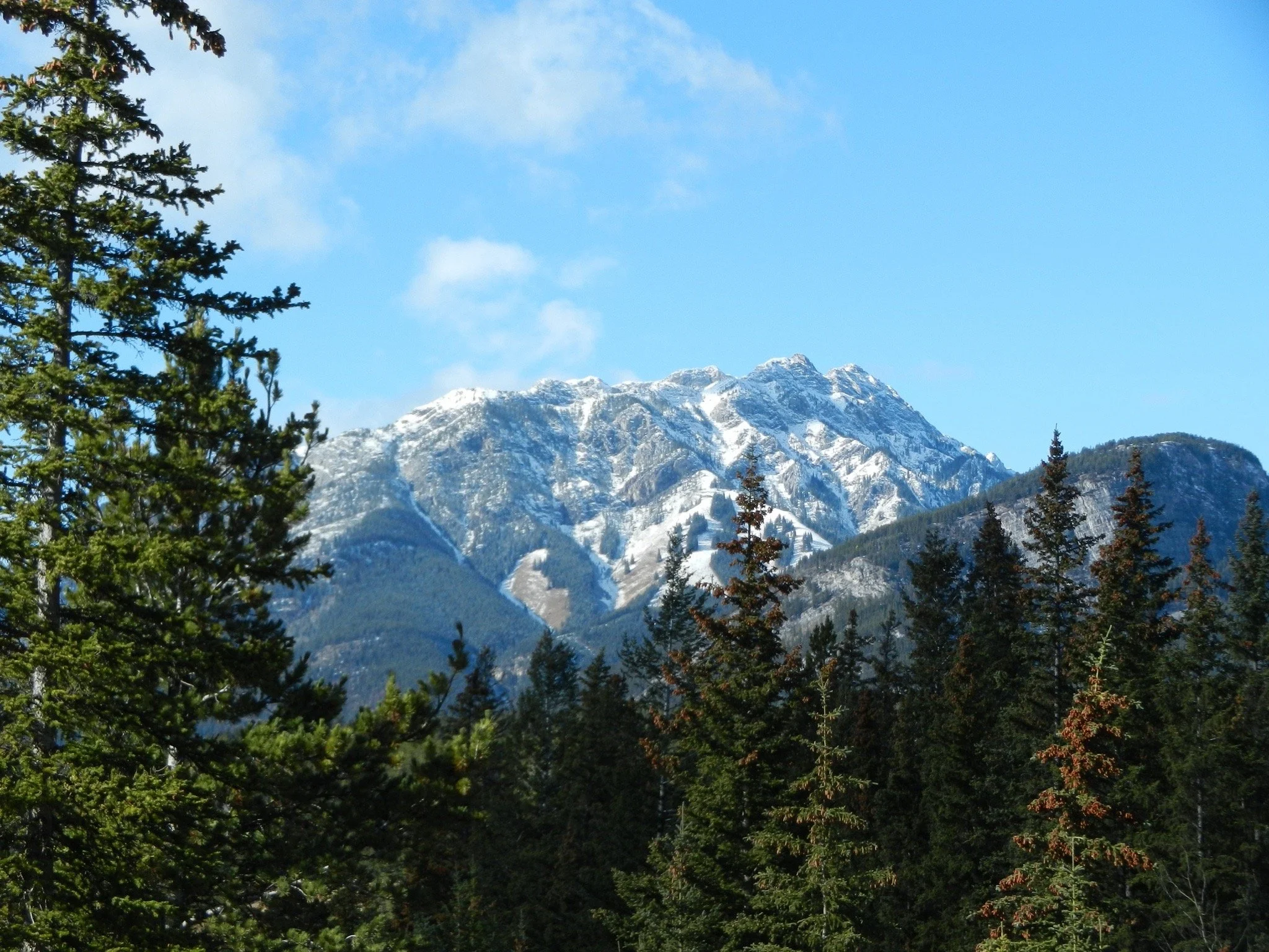 IMG_0062.jpg