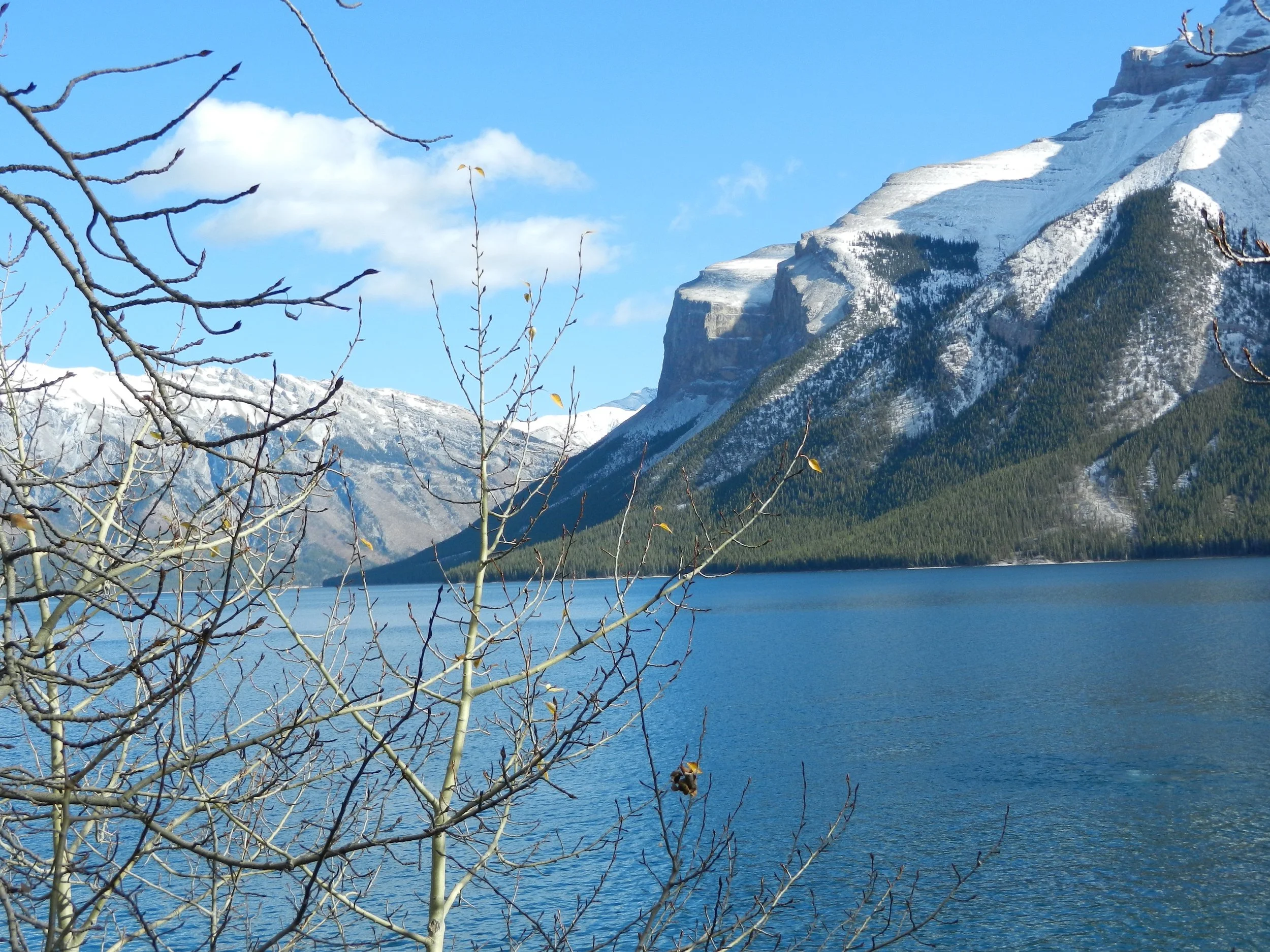 DSCN3503.jpg