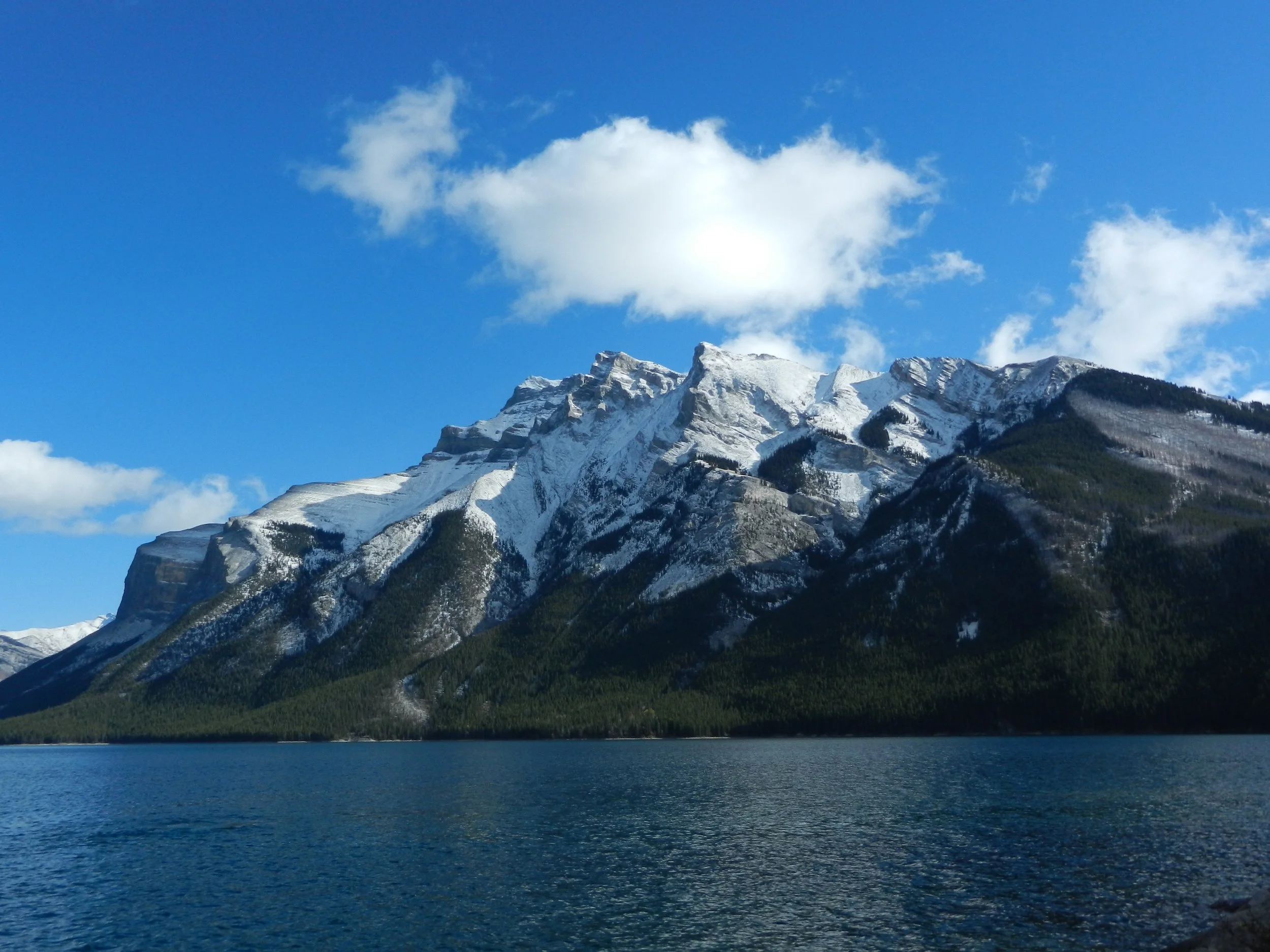 DSCN3537.jpg