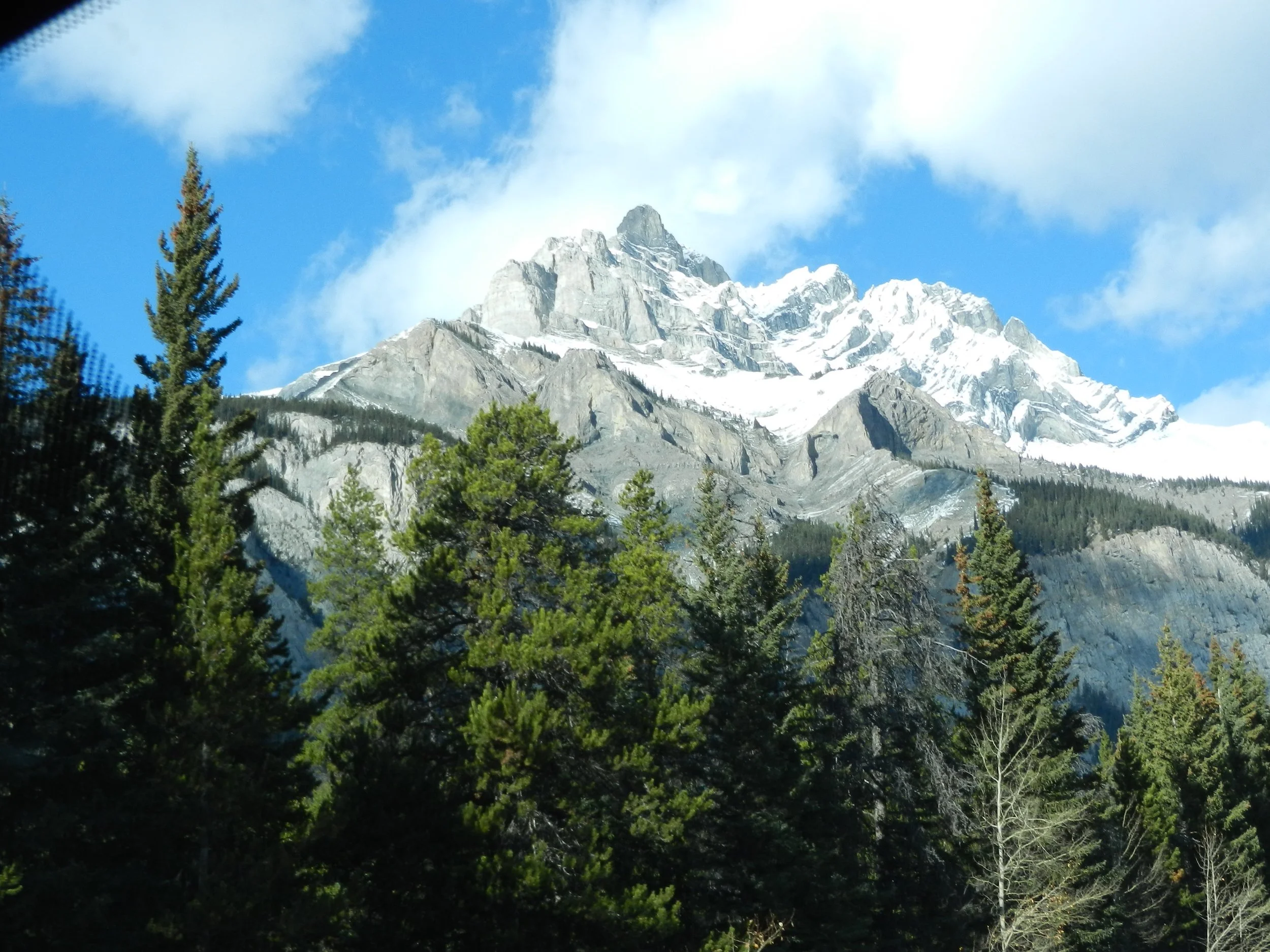DSCN3456.jpg