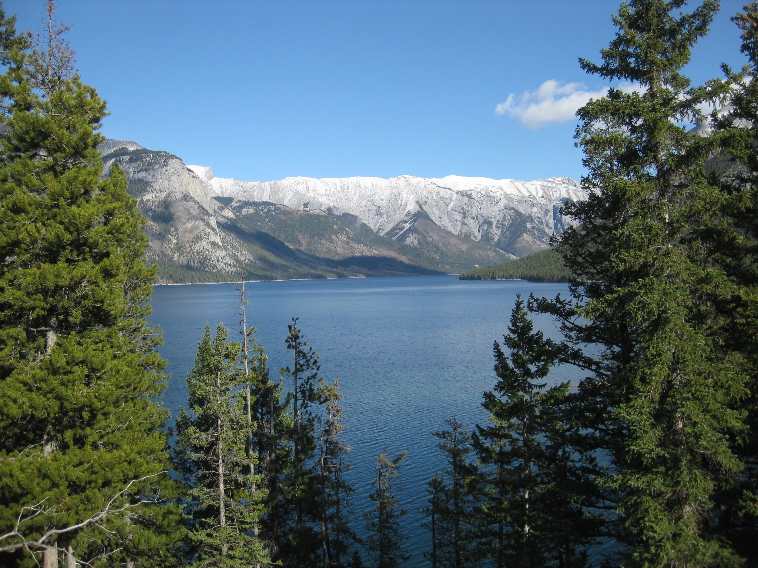 IMG_4539.jpg