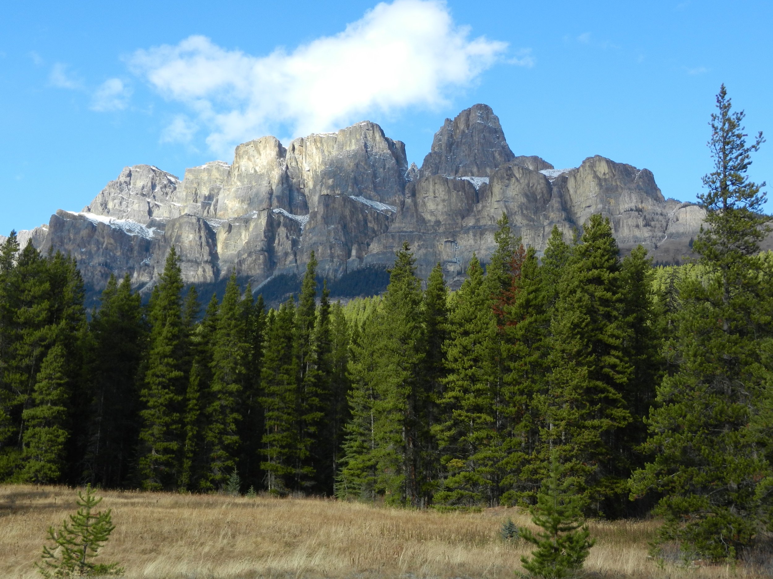 DSCN3647.jpg