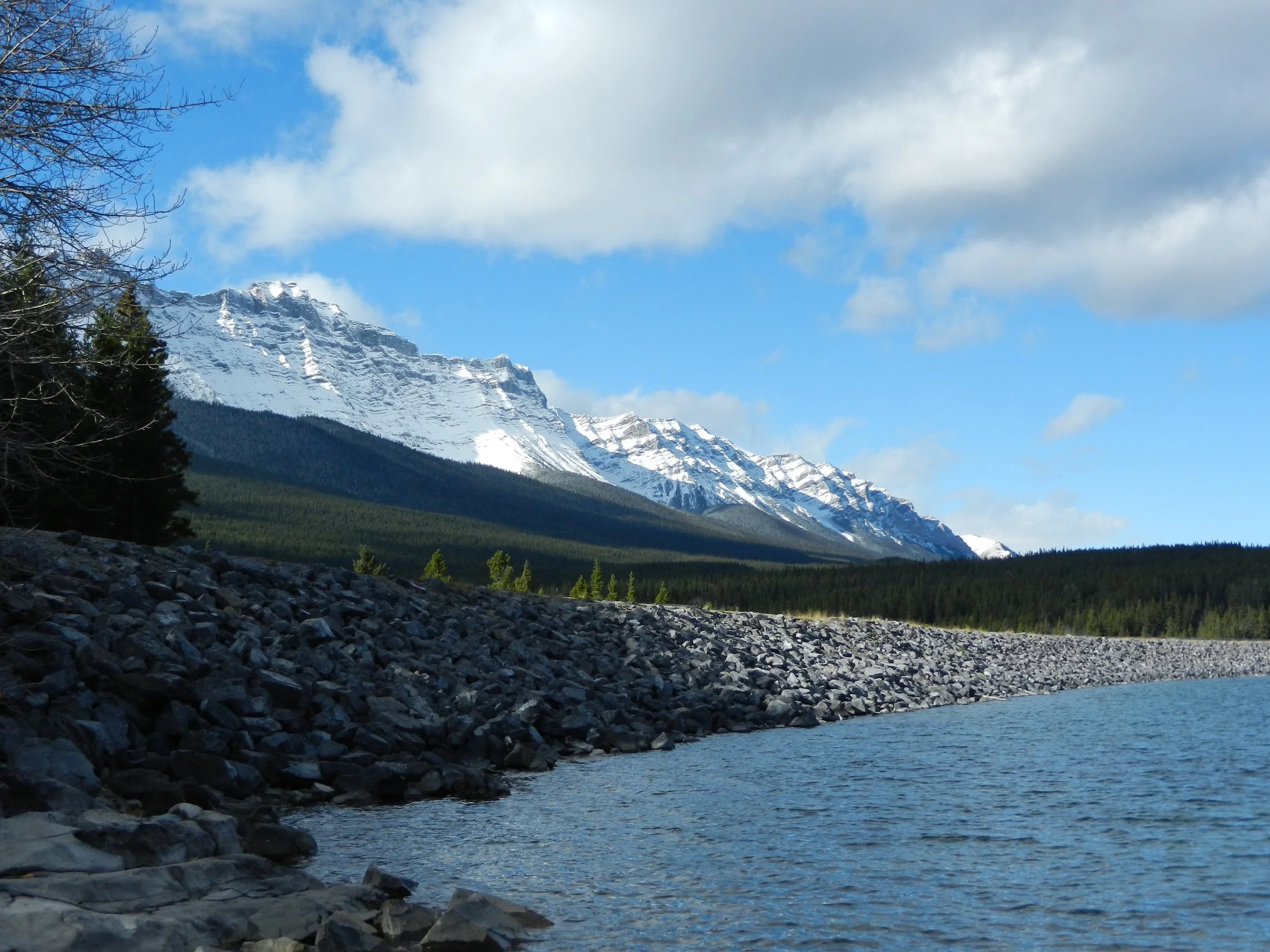 DSCN3528.jpg