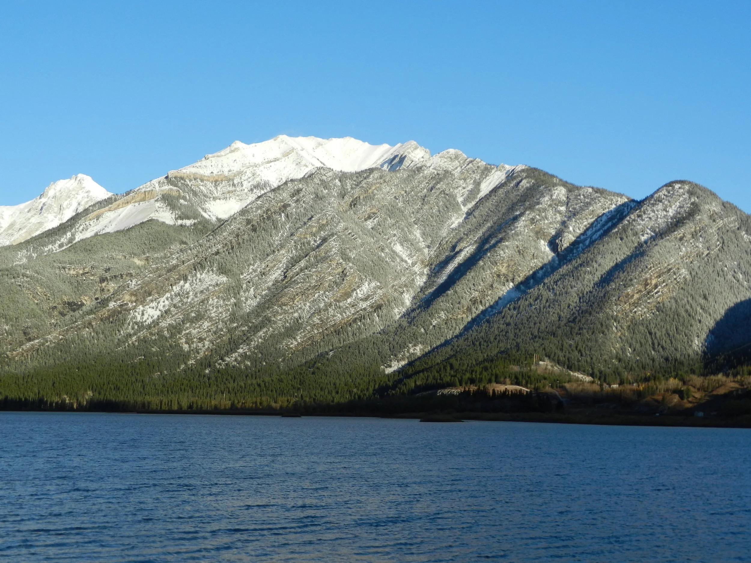 DSCN3348.jpg