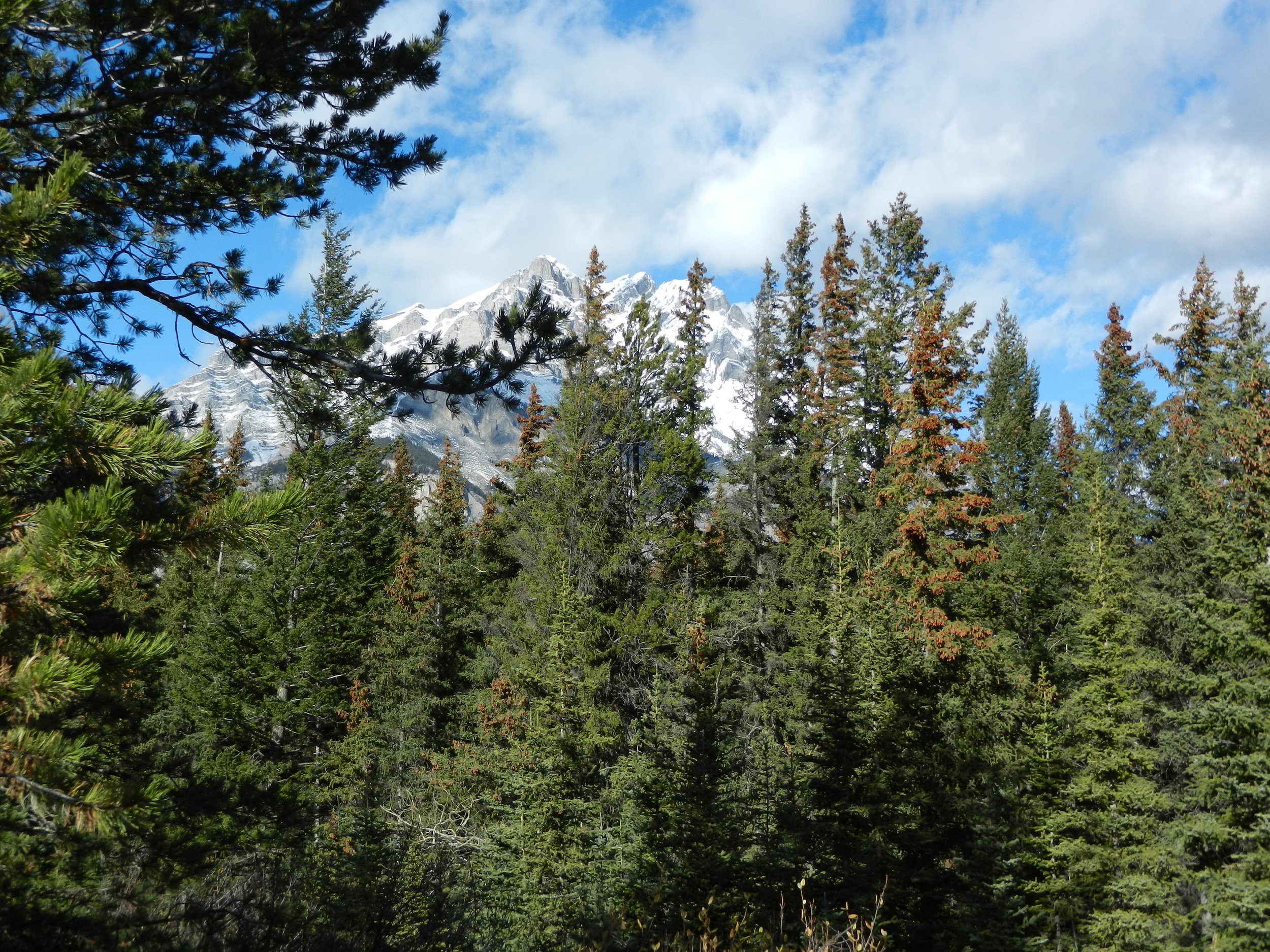 DSCN3422.jpg