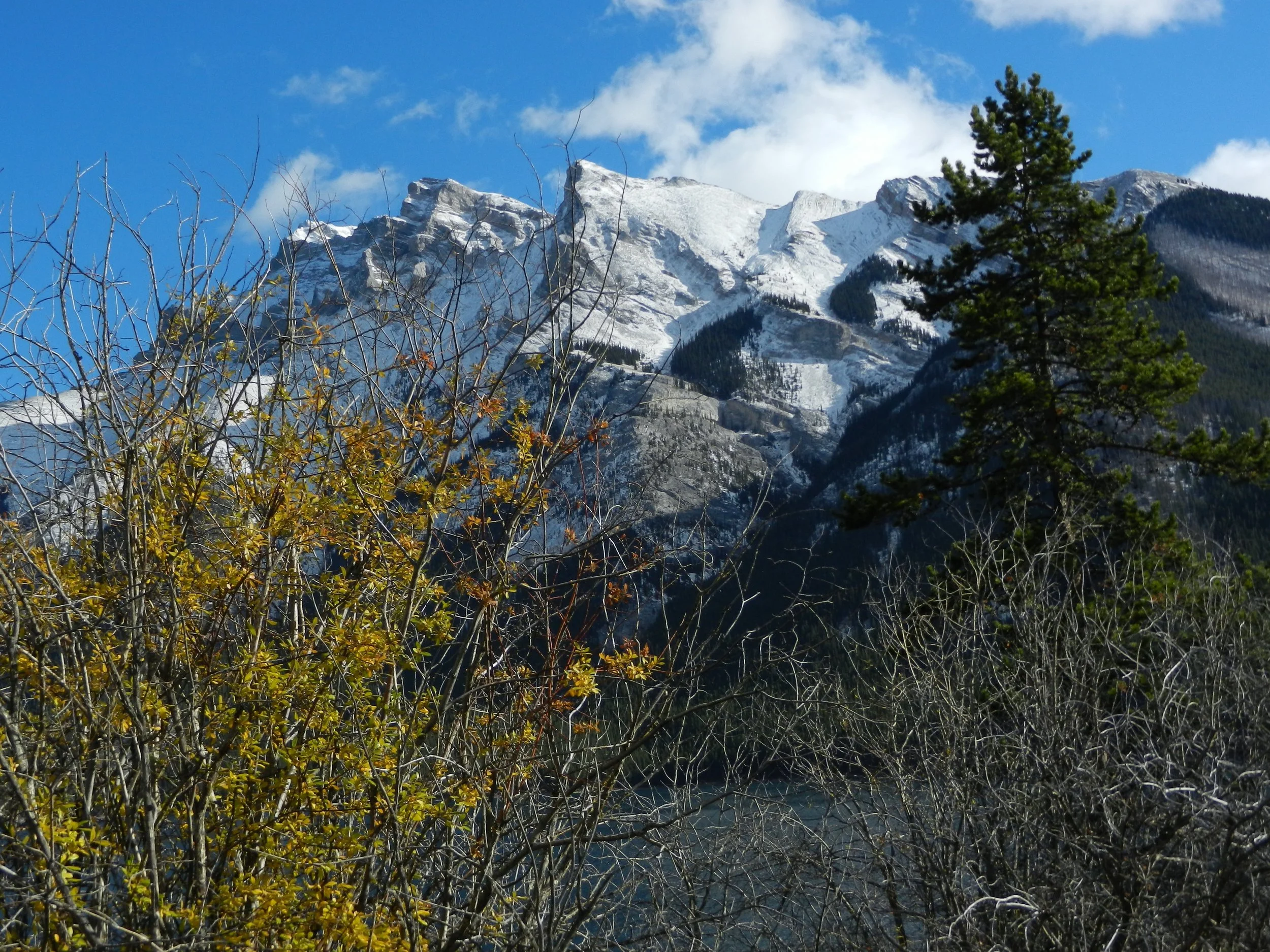 DSCN3508.jpg