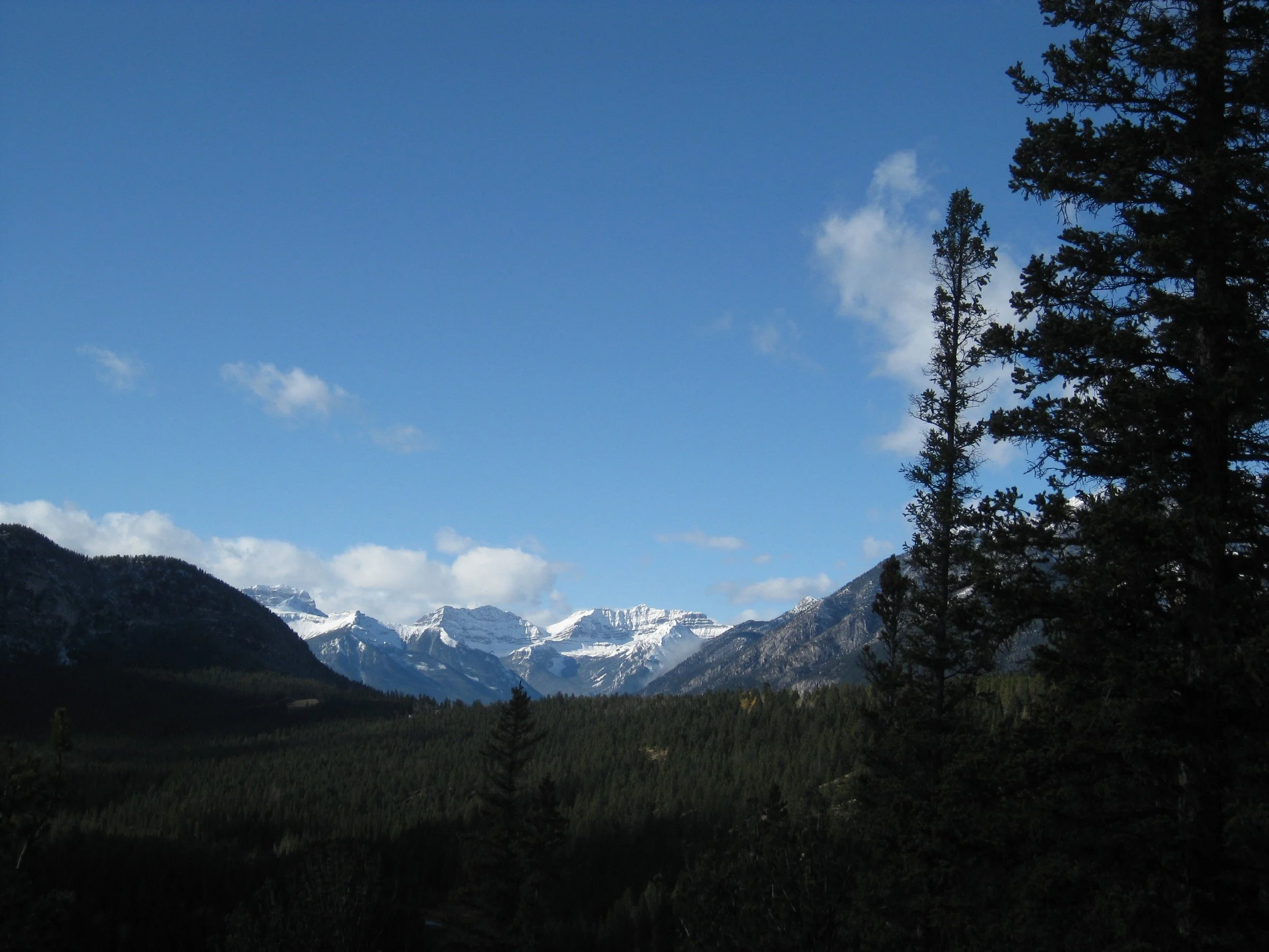 IMG_4377.jpg