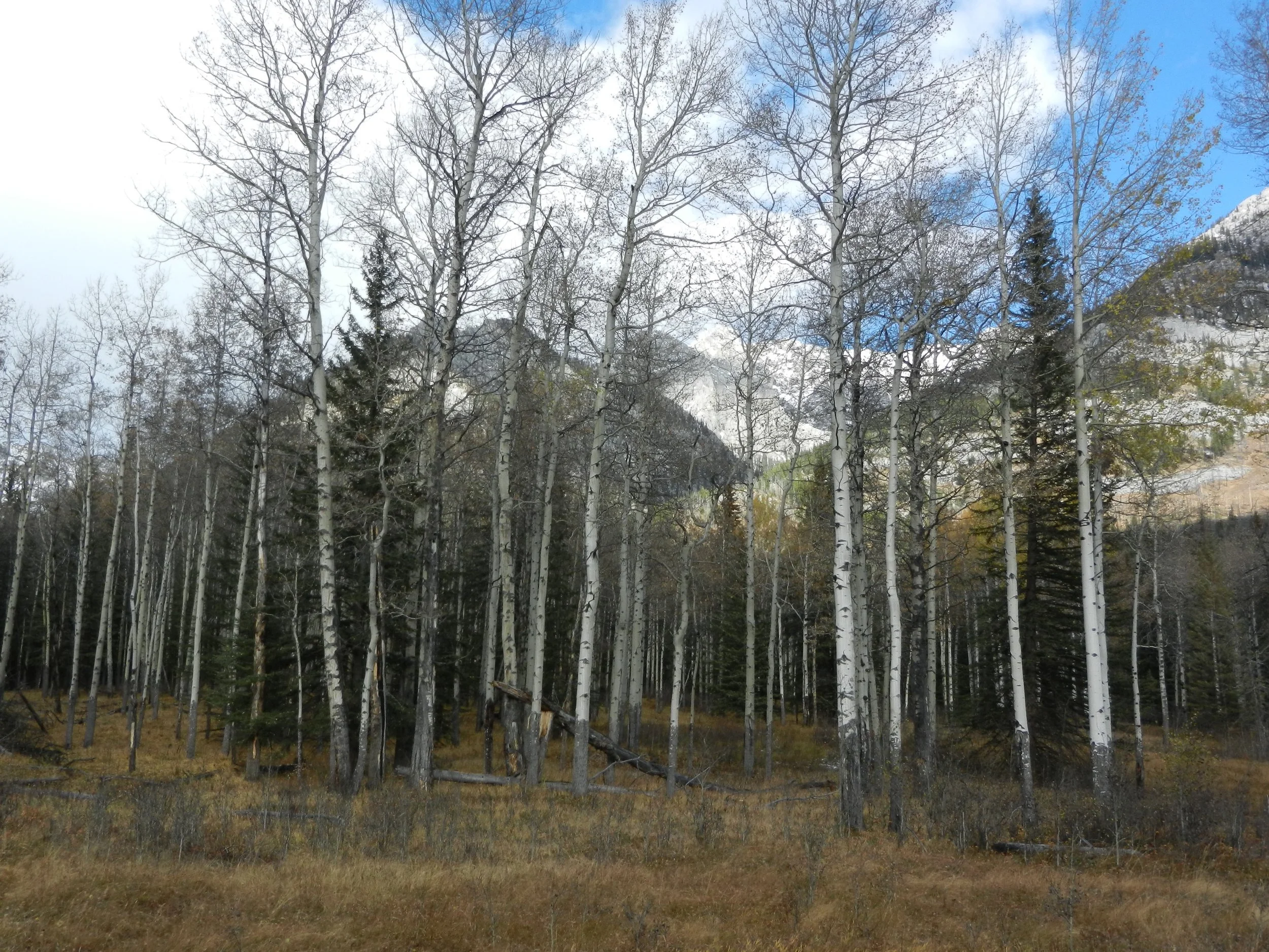 DSCN3626.jpg