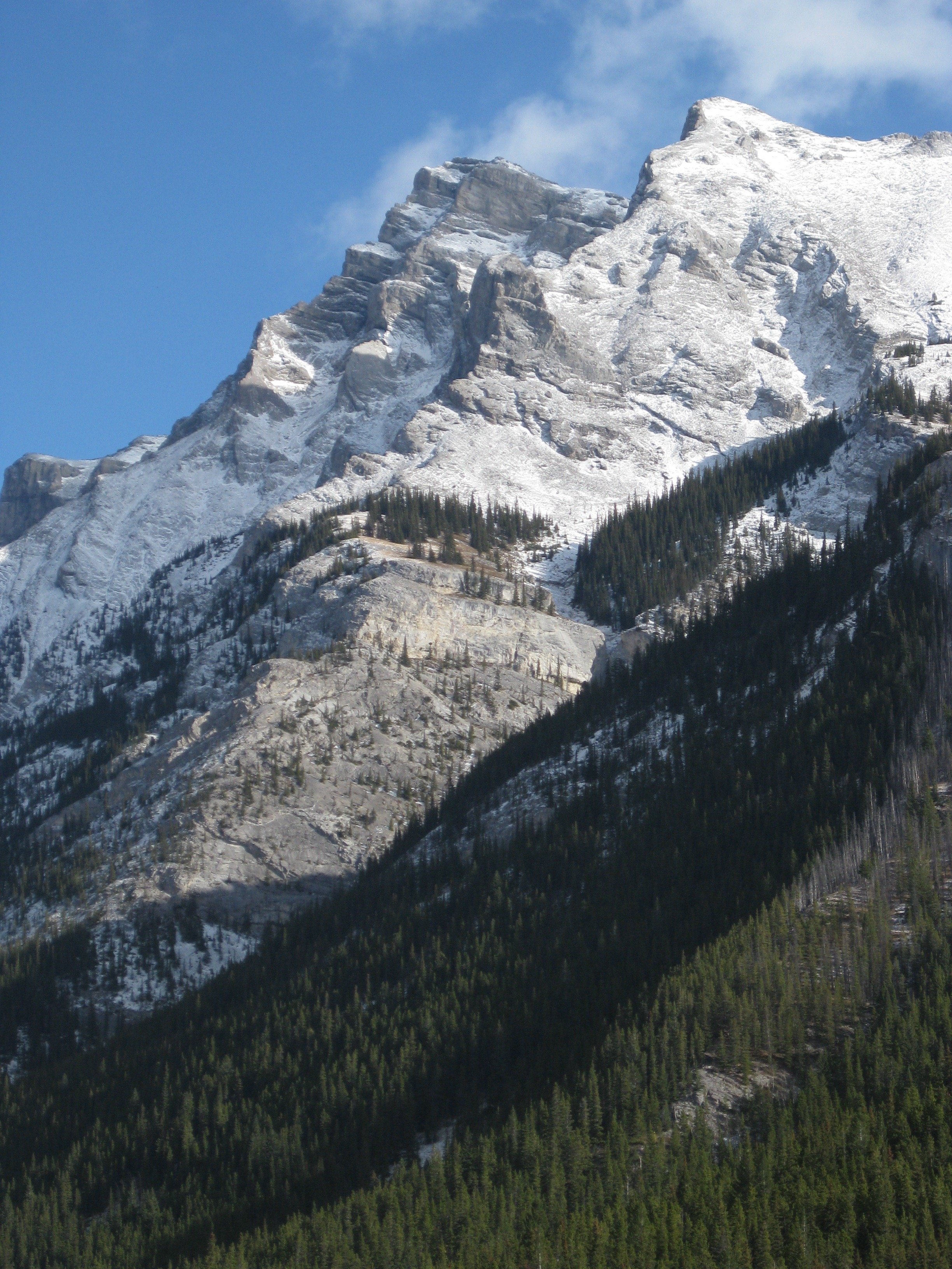 IMG_4550.jpg