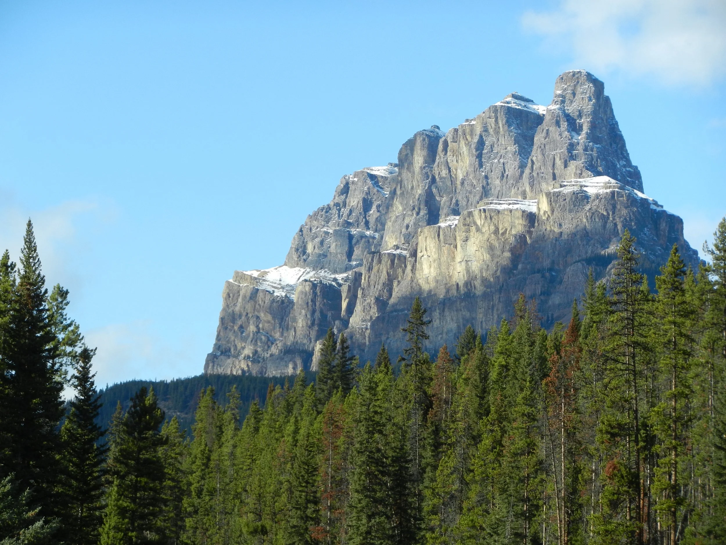 DSCN3631.jpg