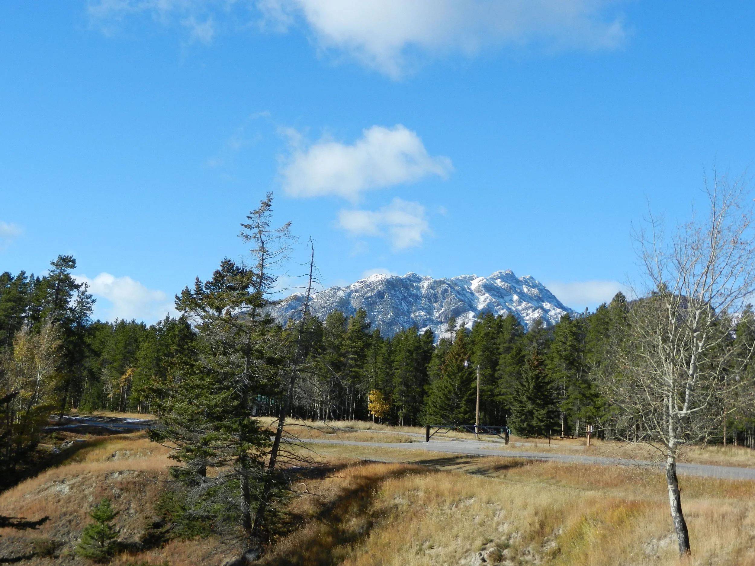 DSCN3430.jpg