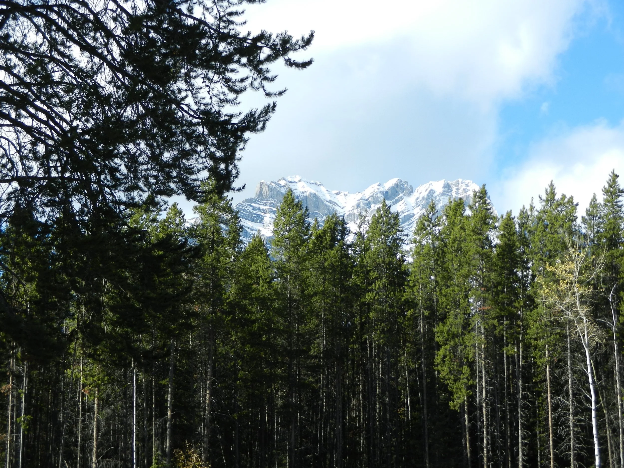 DSCN3557.jpg
