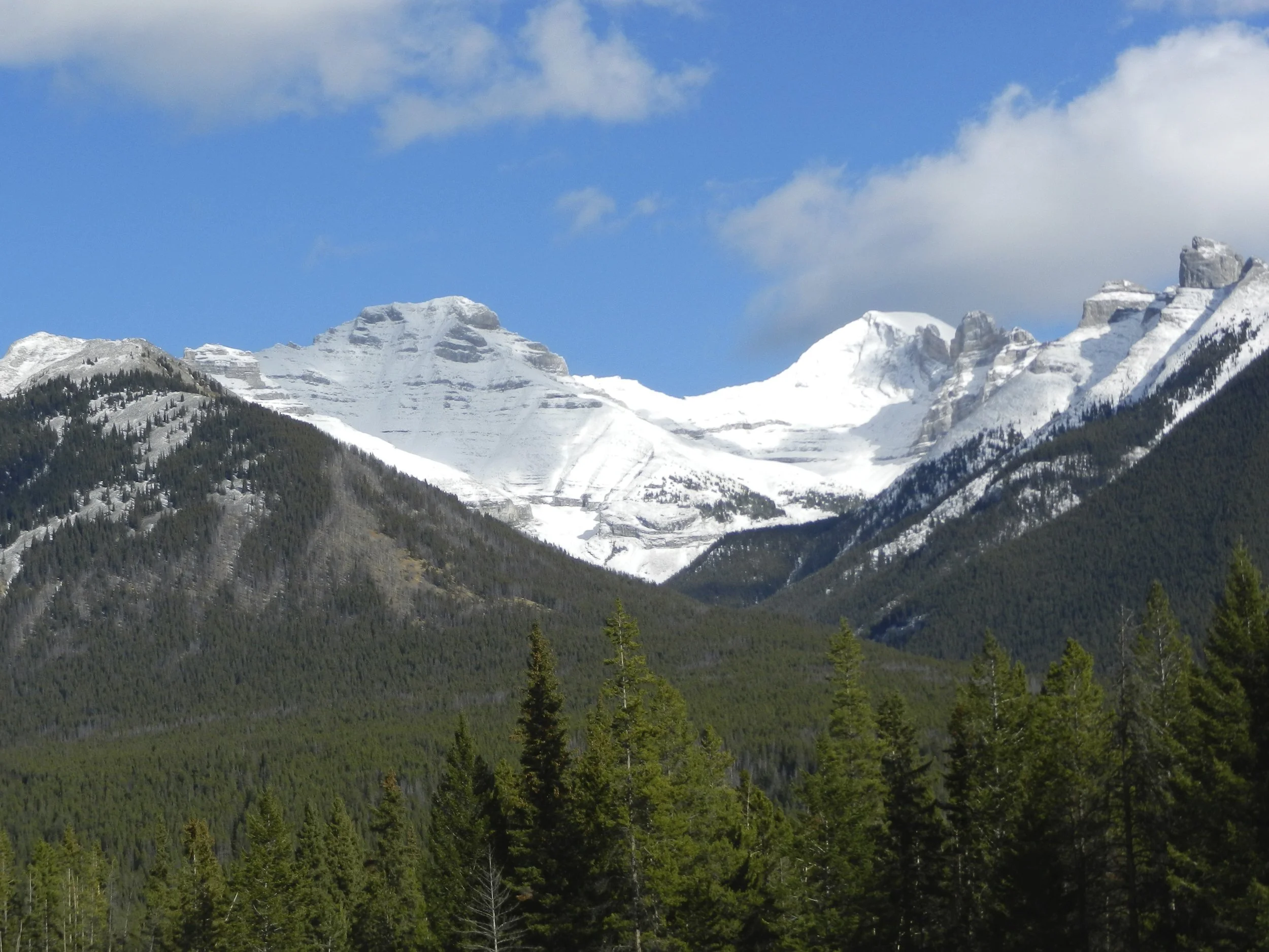 DSCN3566.jpg