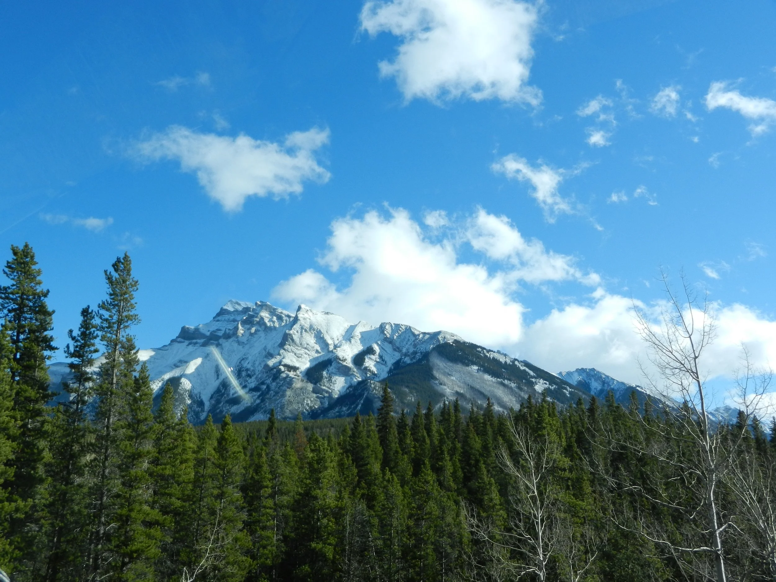DSCN3481.jpg