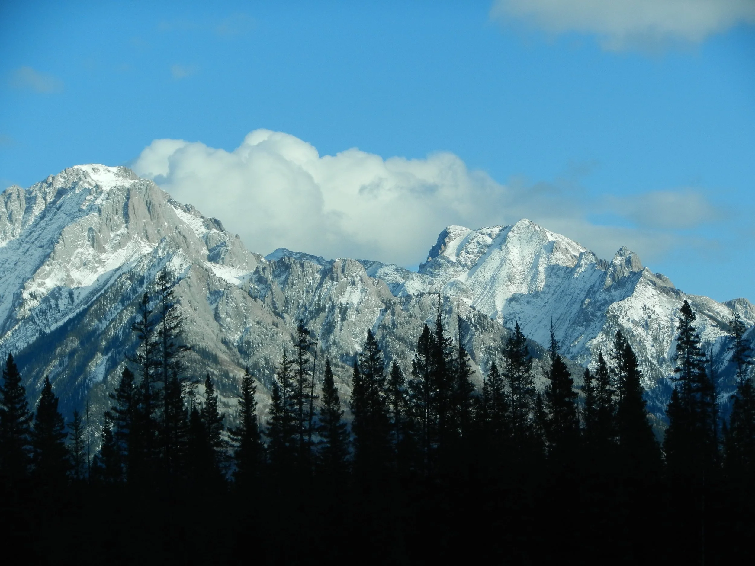 DSCN3809.jpg