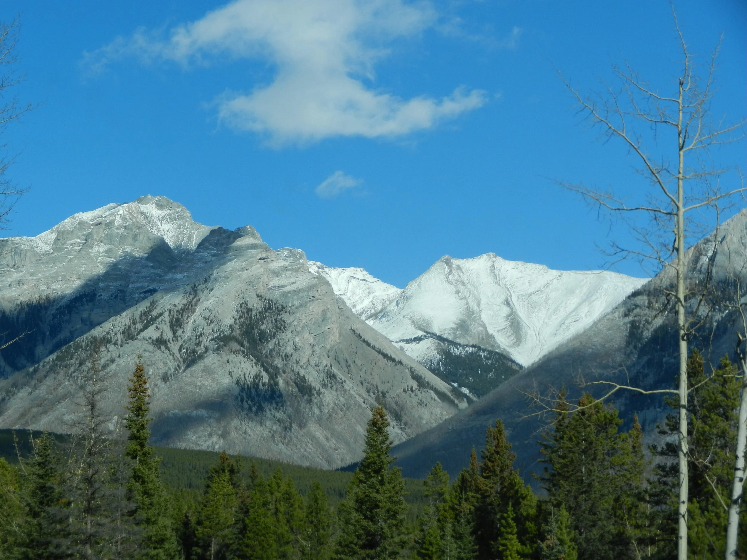 DSCN3477.jpg