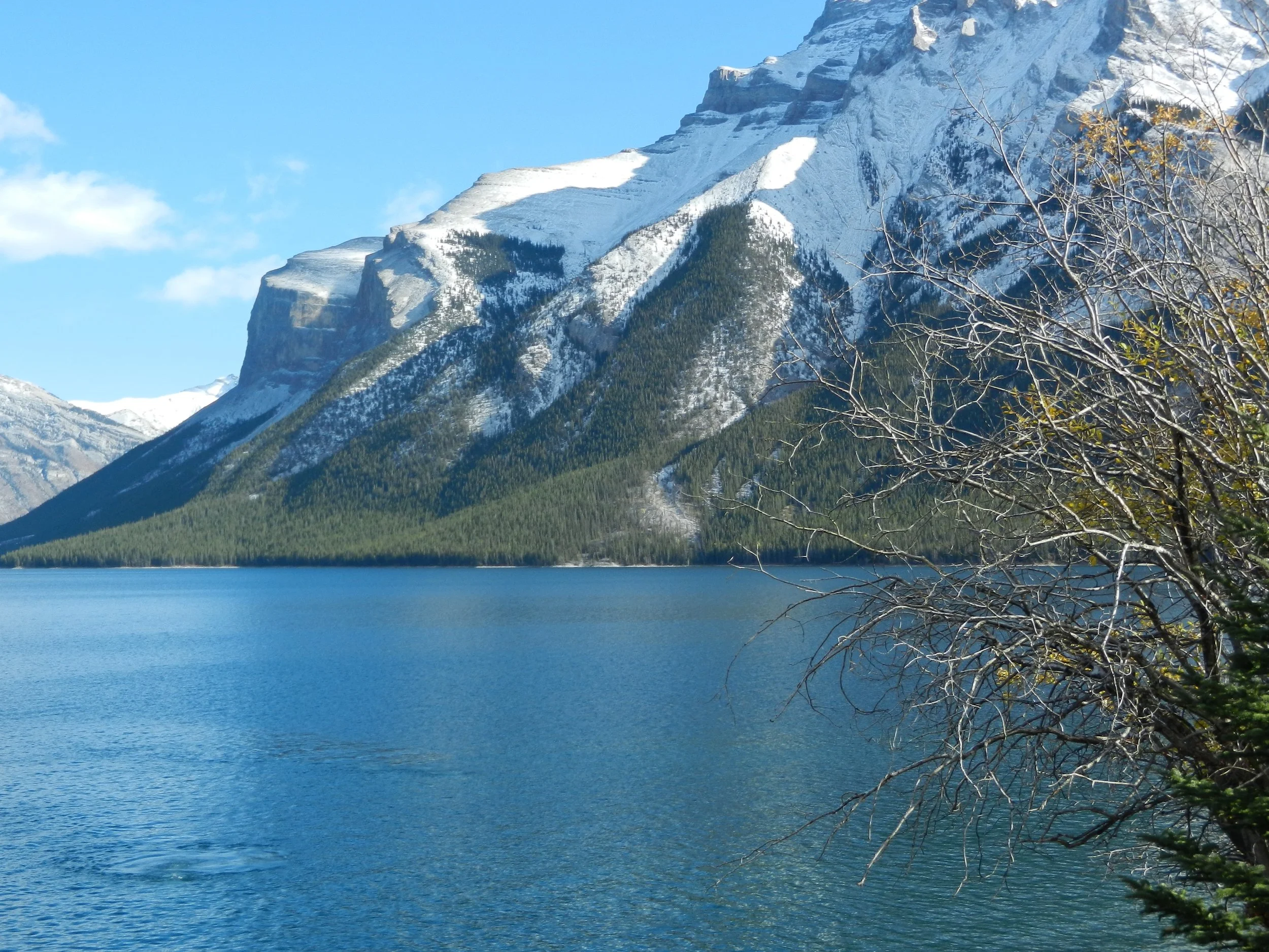 DSCN3501.jpg