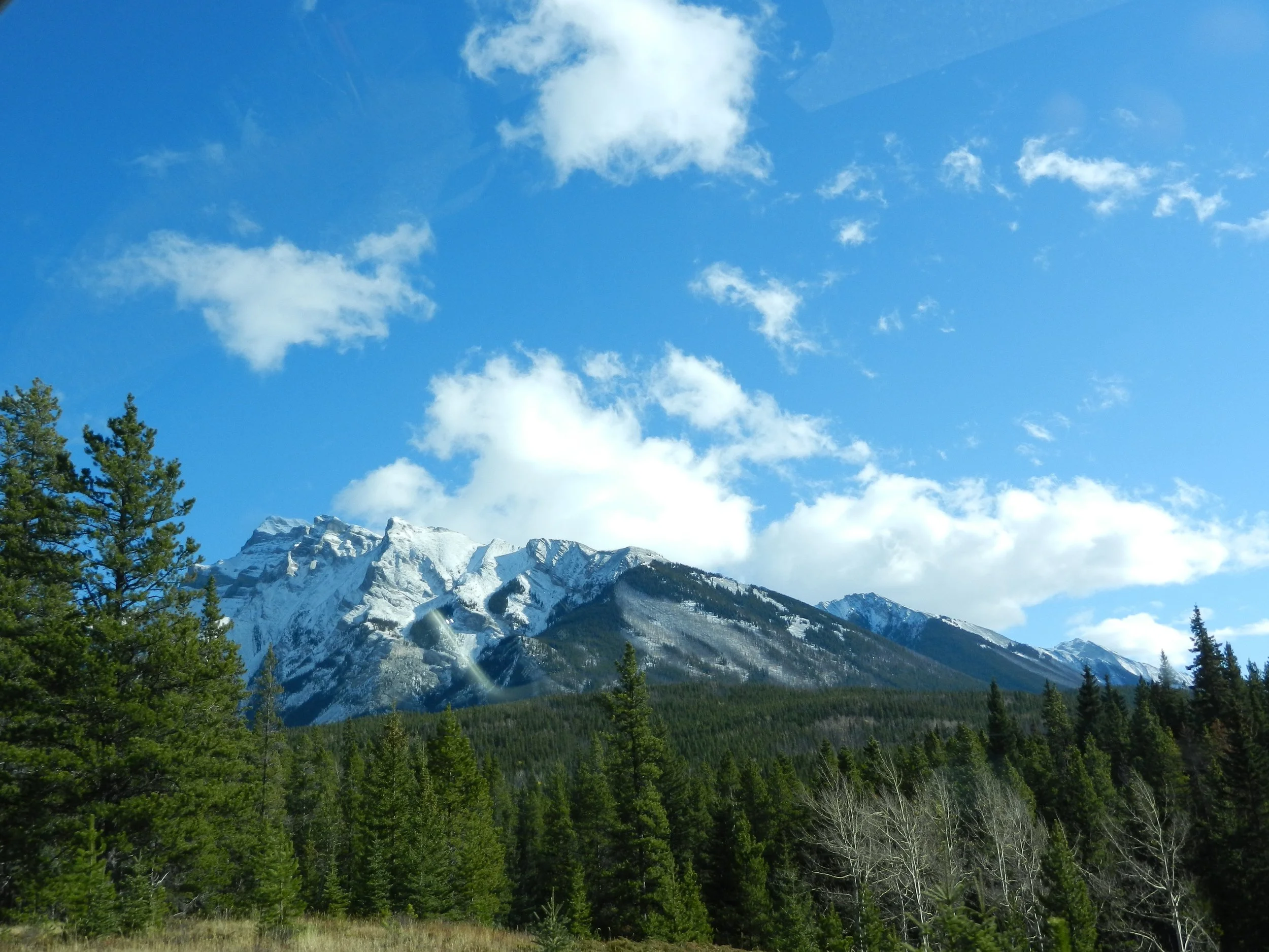 DSCN3482.jpg