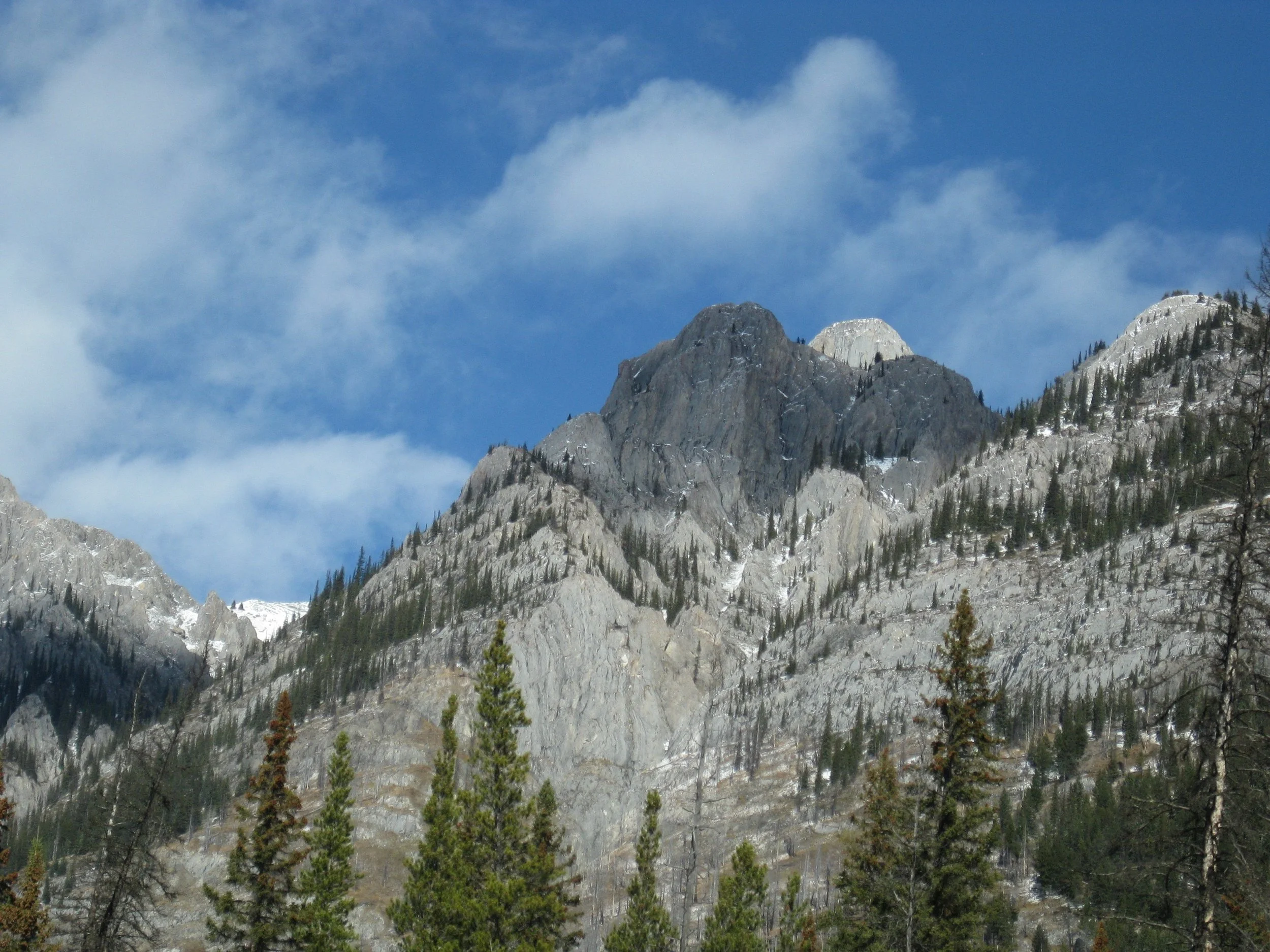 IMG_4698.jpg
