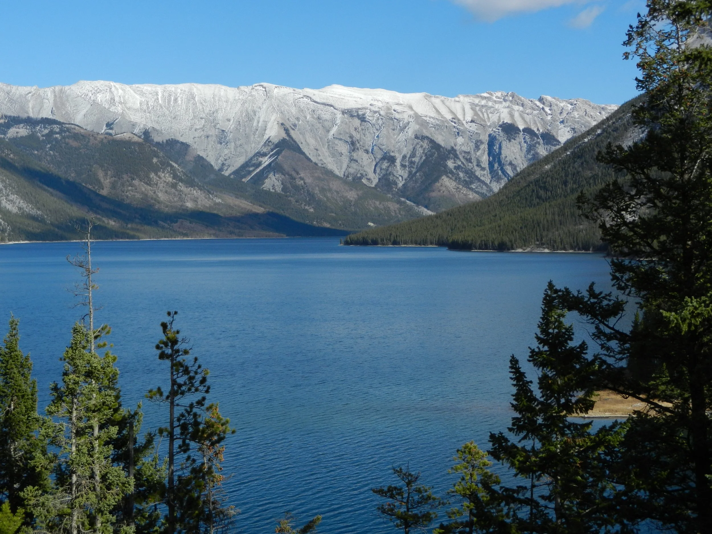 DSCN3542.jpg