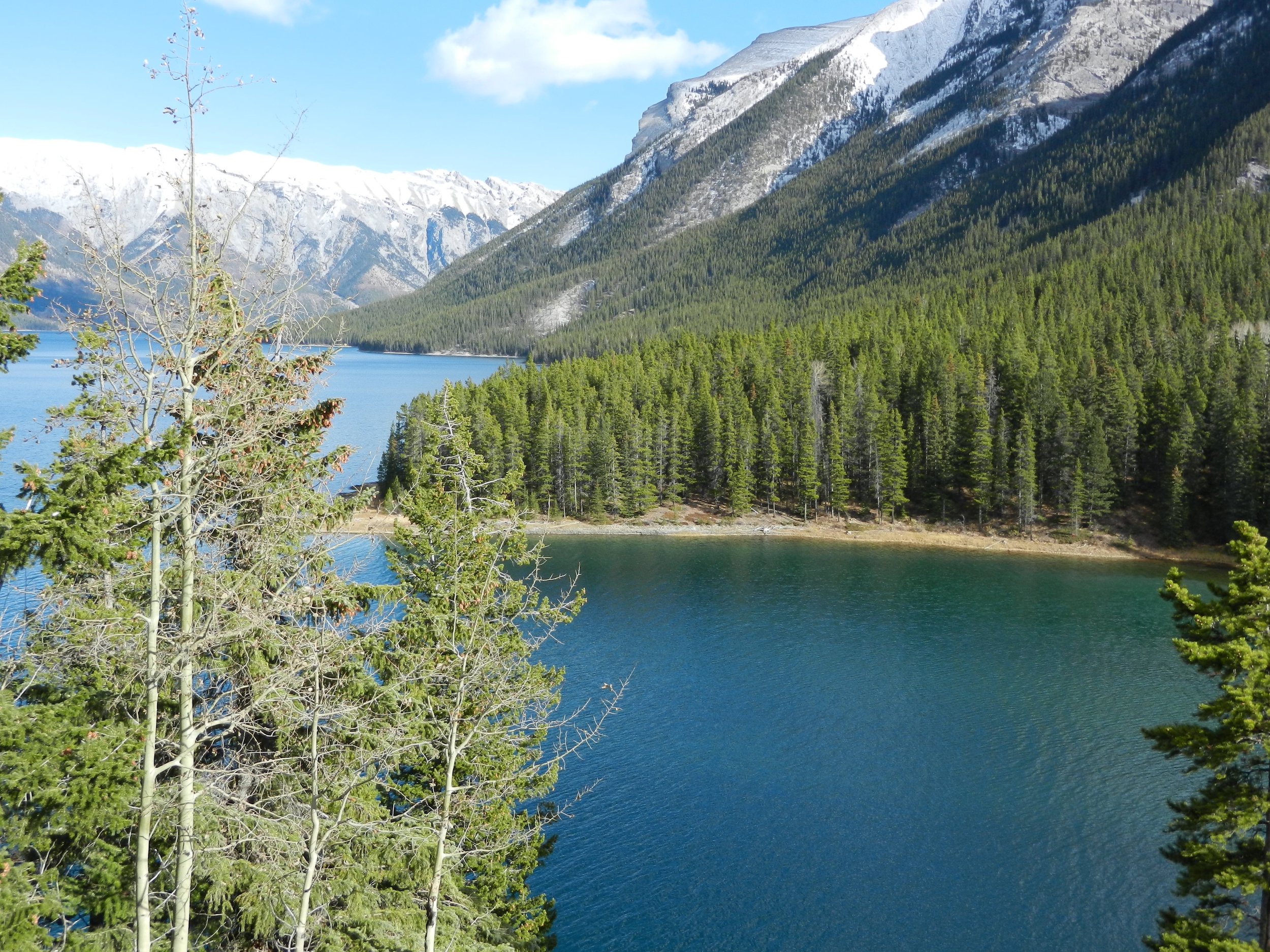 DSCN3543.jpg