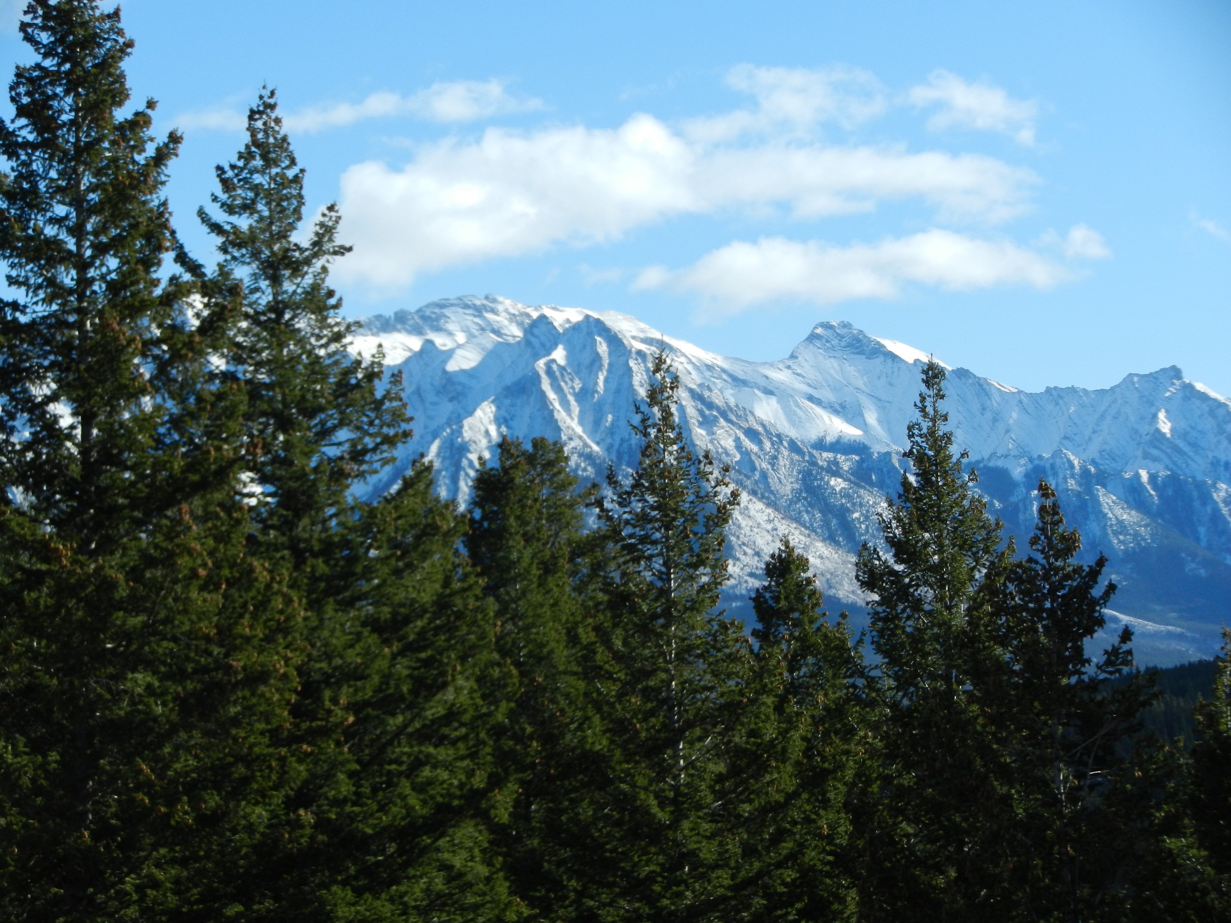 DSCN3435.jpg