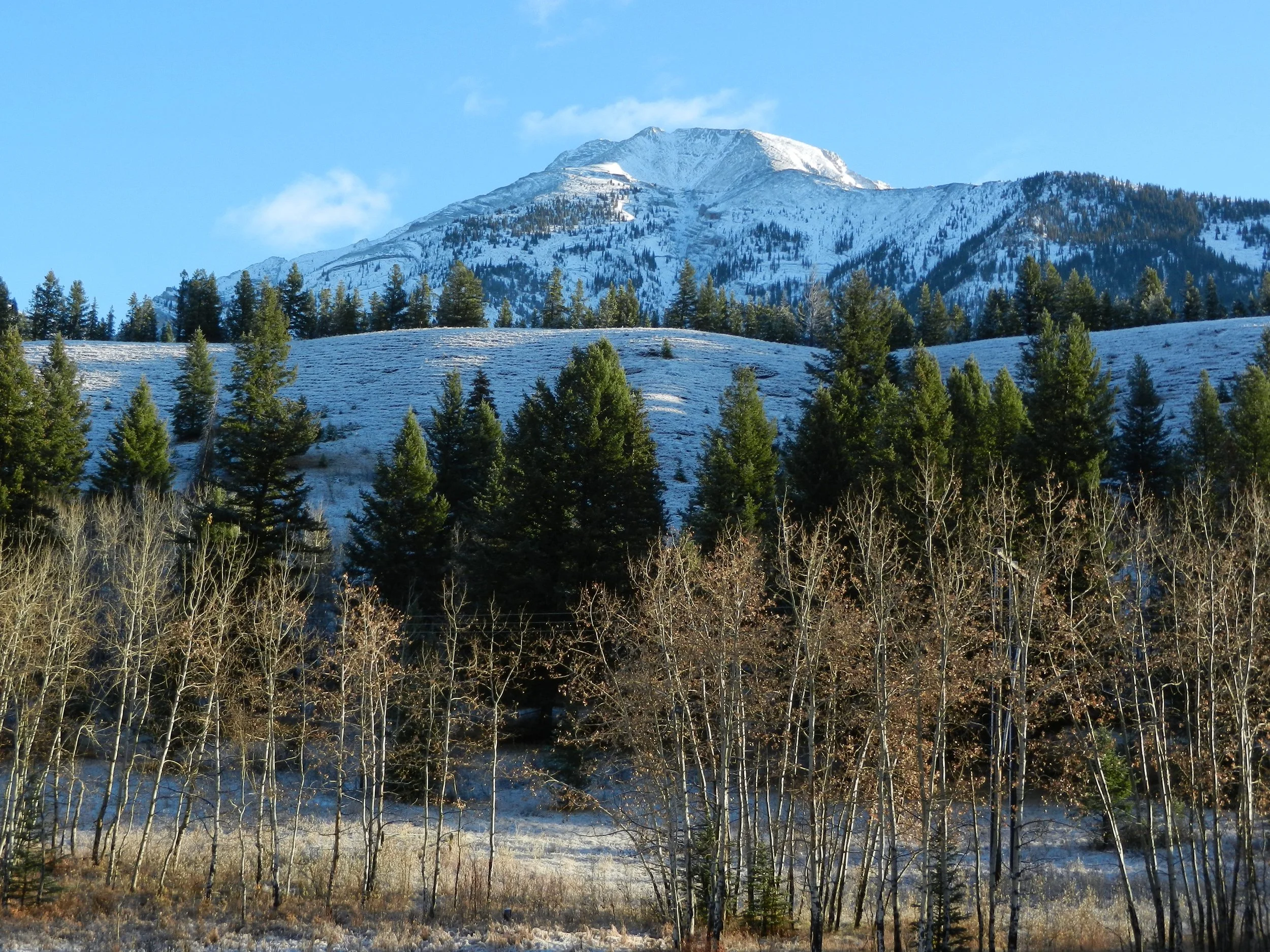 DSCN3361.jpg
