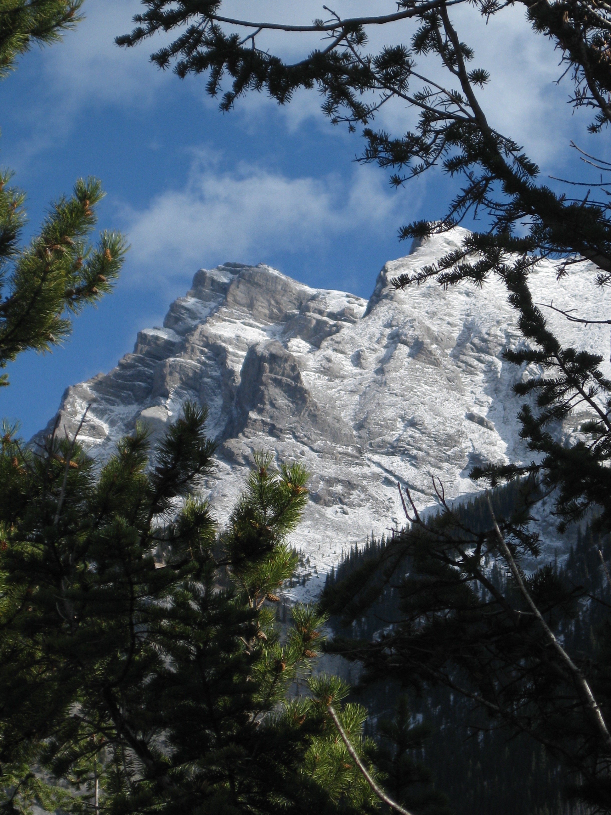 IMG_4546.jpg