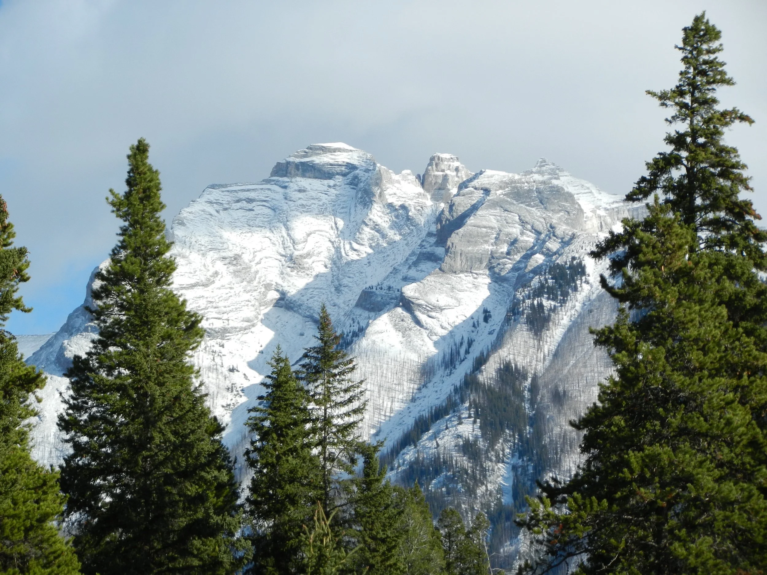 DSCN3553.jpg