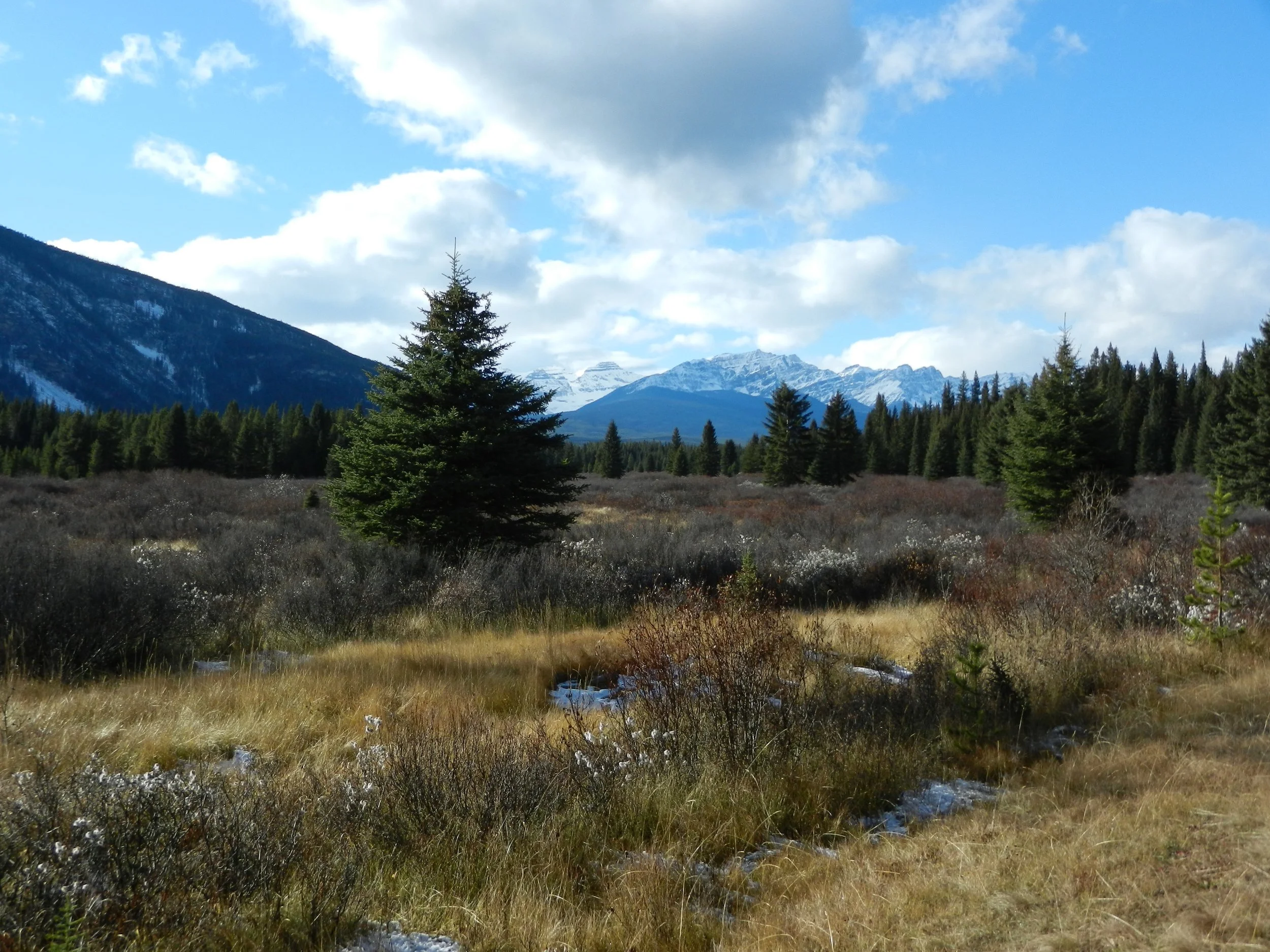 DSCN3630.jpg