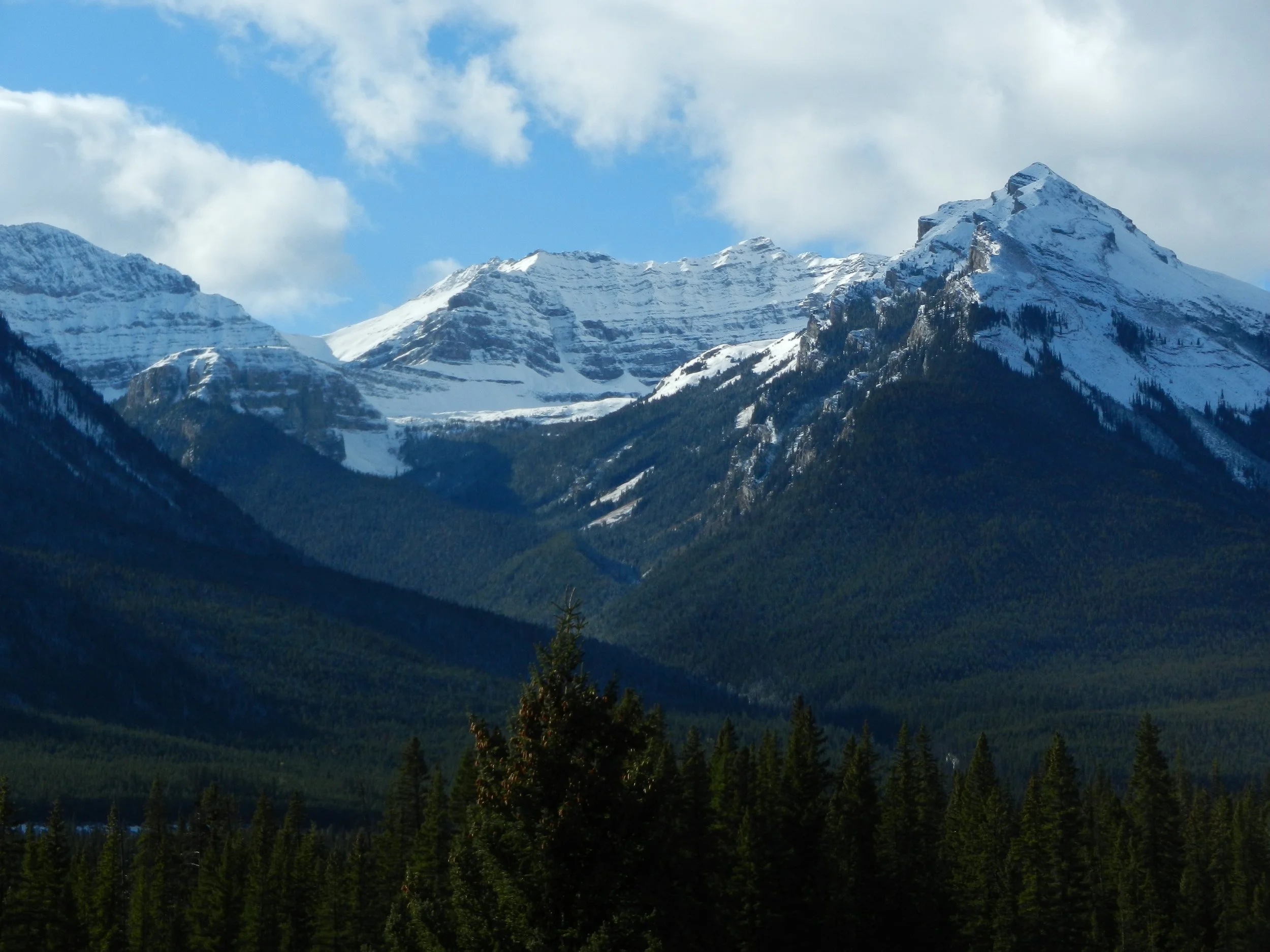 DSCN3608.jpg