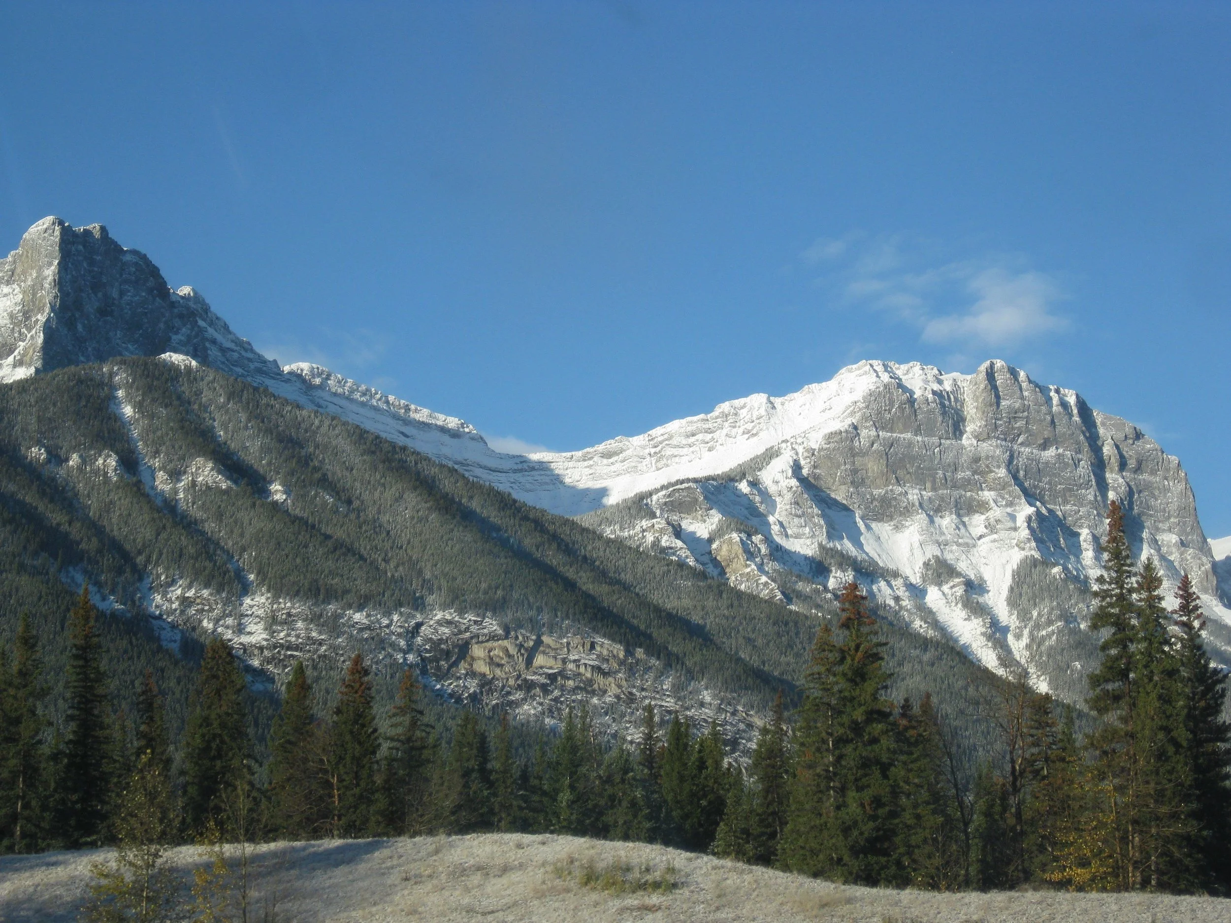 IMG_4211.jpg