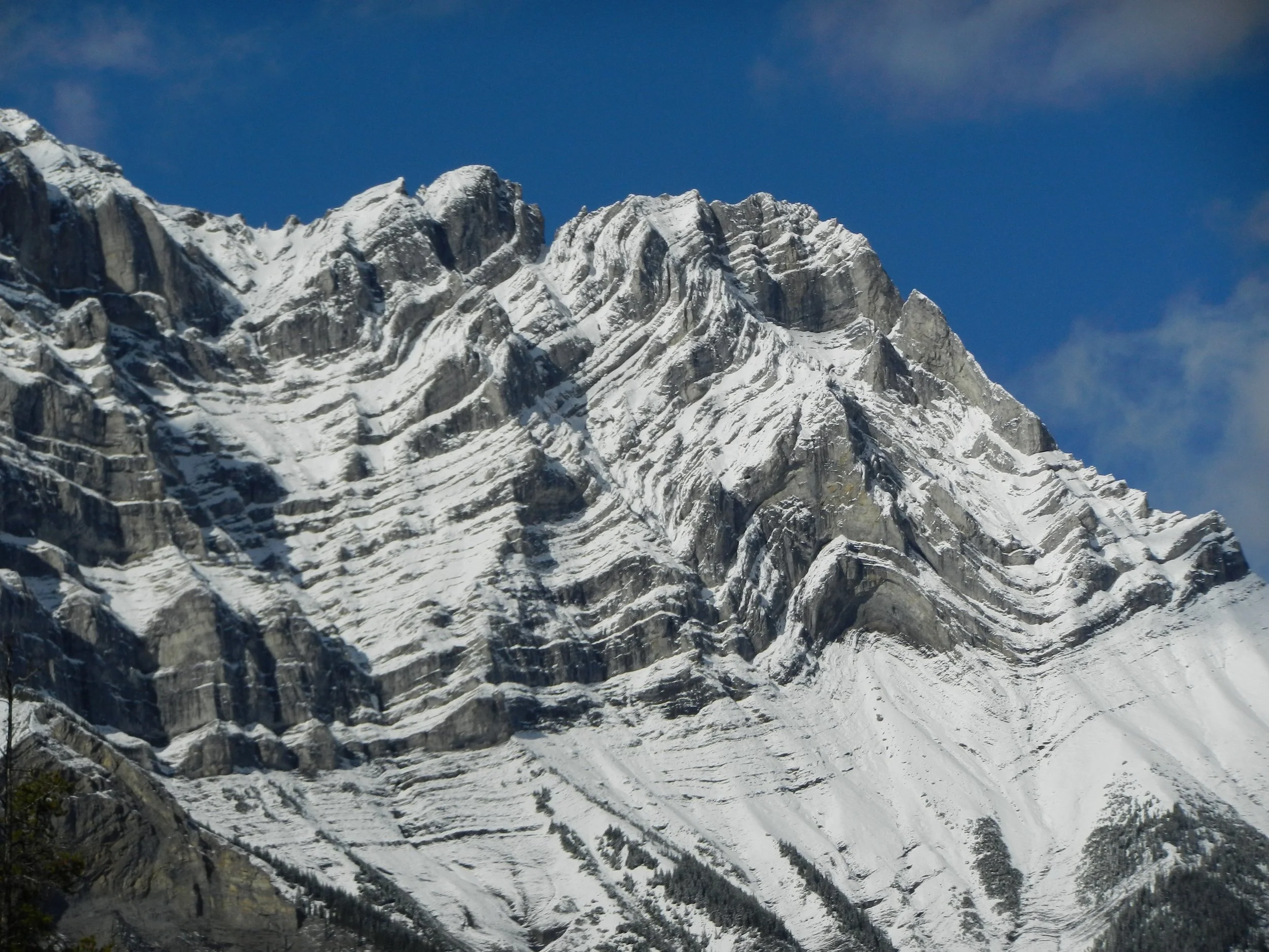 DSCN3451.jpg