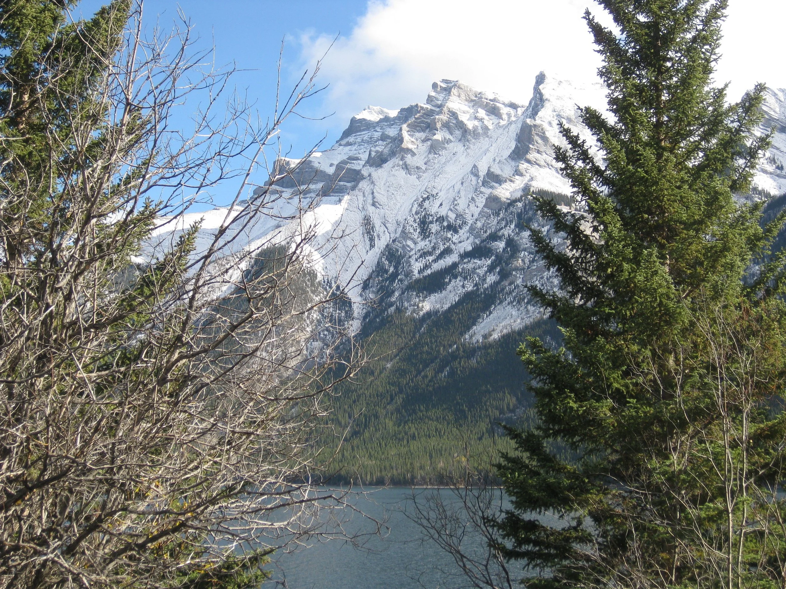 IMG_4536.jpg
