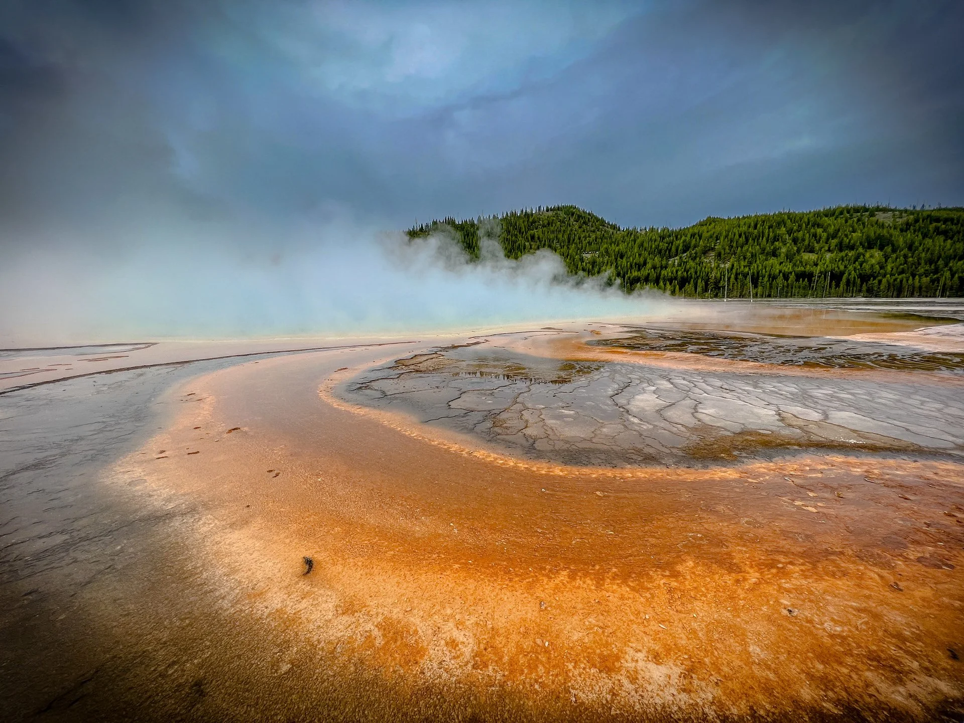 Hot springs with steam rising, surrounded by geothermal pools, with green forested hills and cloudy sky in the background.