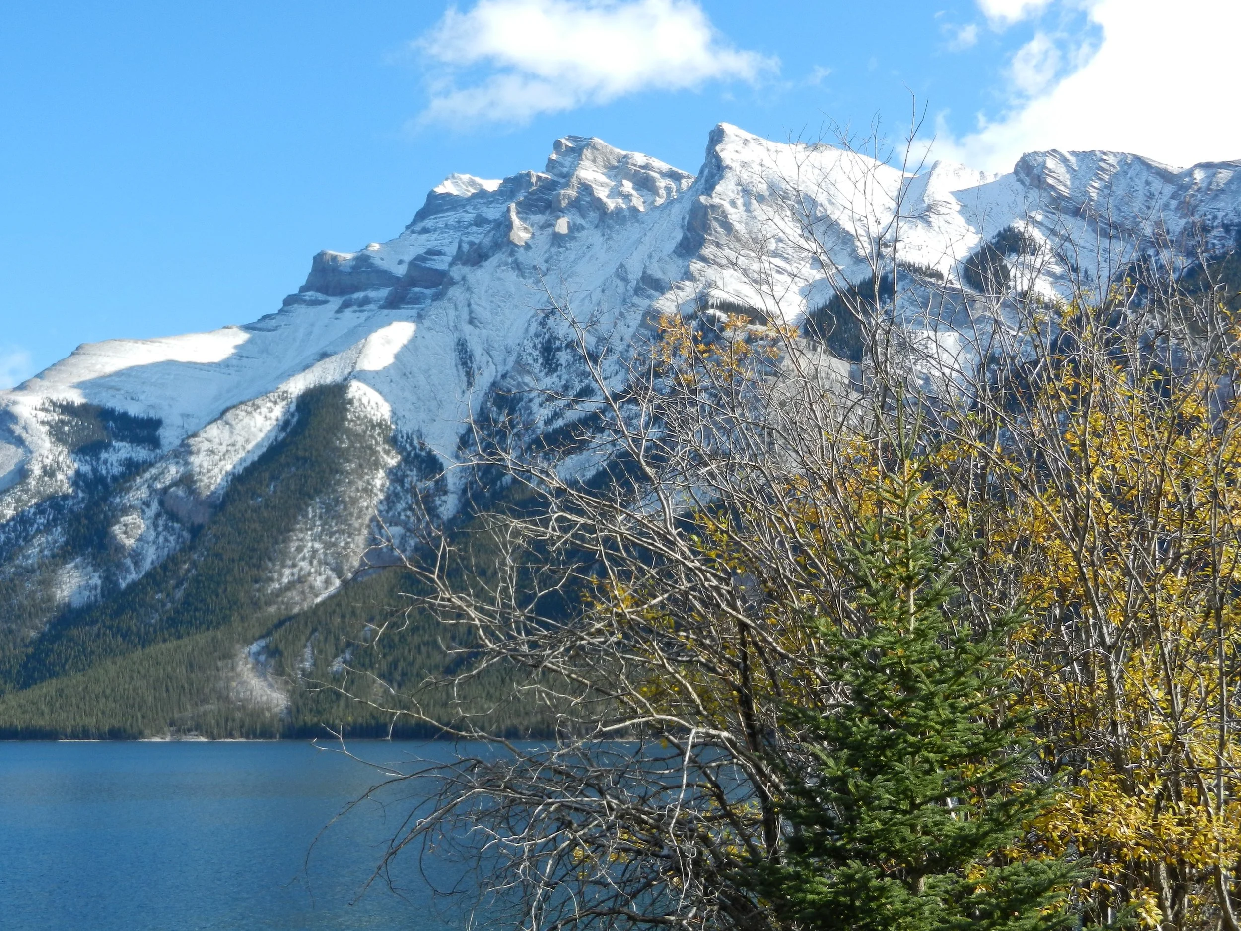 DSCN3500.jpg