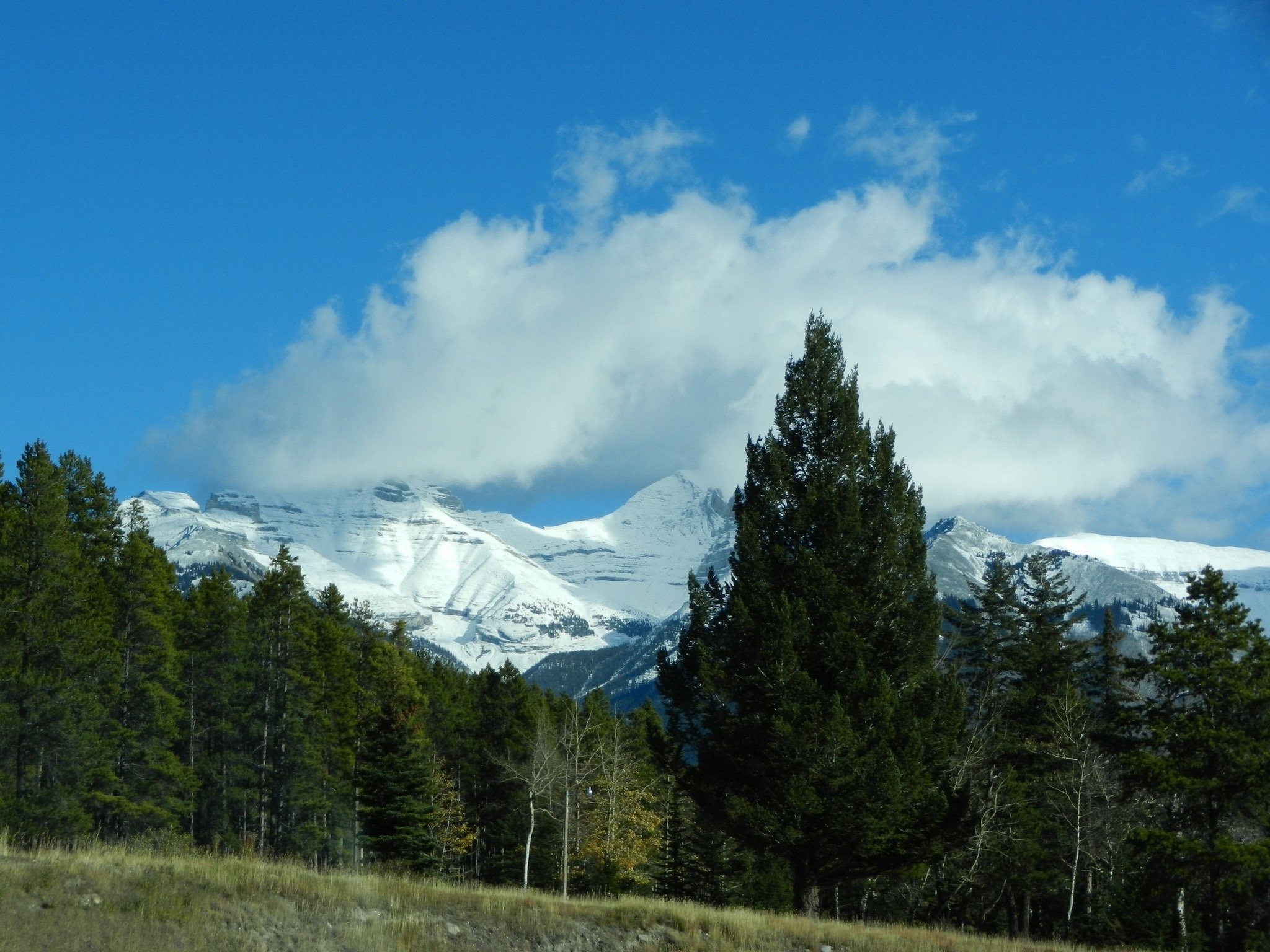 IMG_0066.jpg