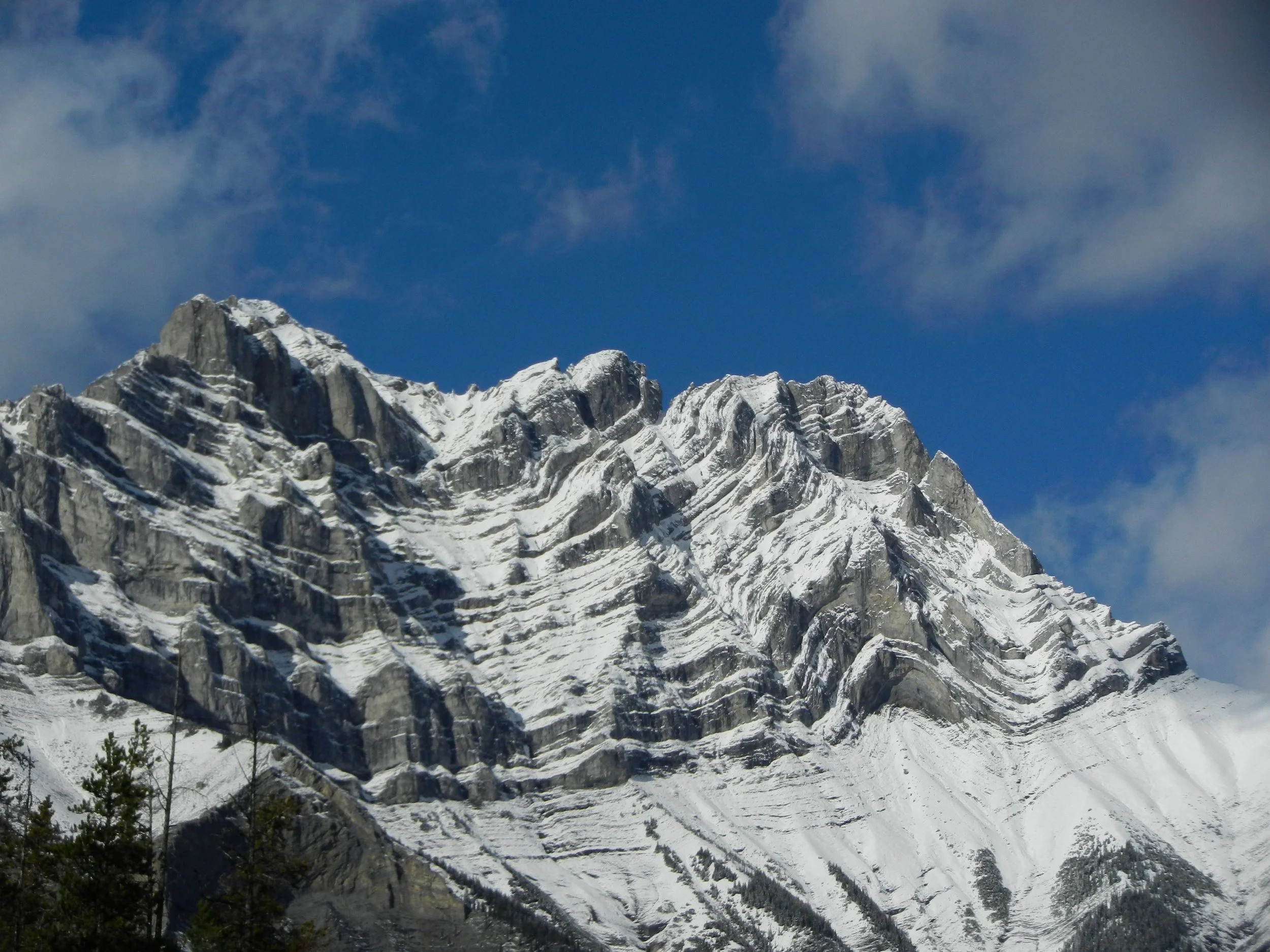DSCN3450.jpg