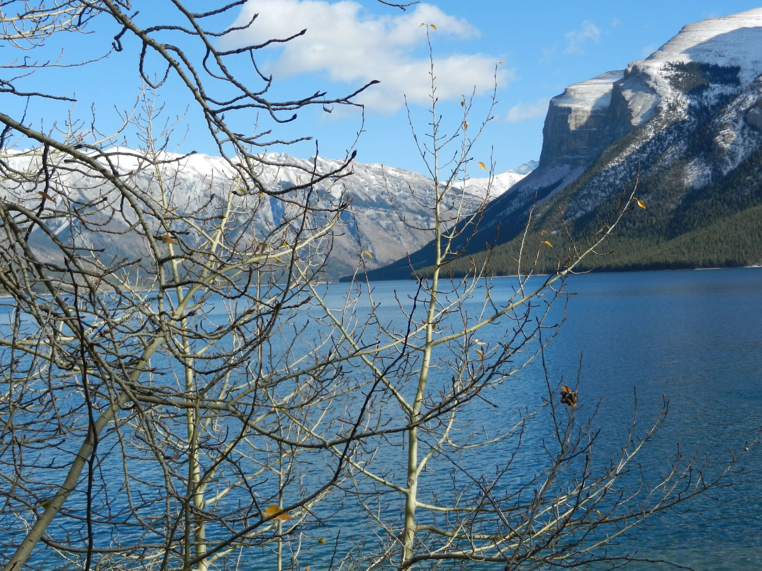 DSCN3502.jpg