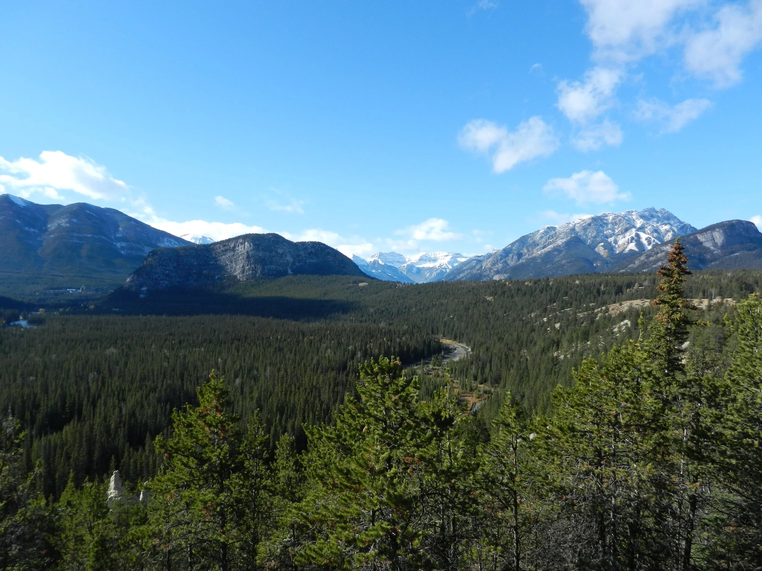 DSCN3417.jpg