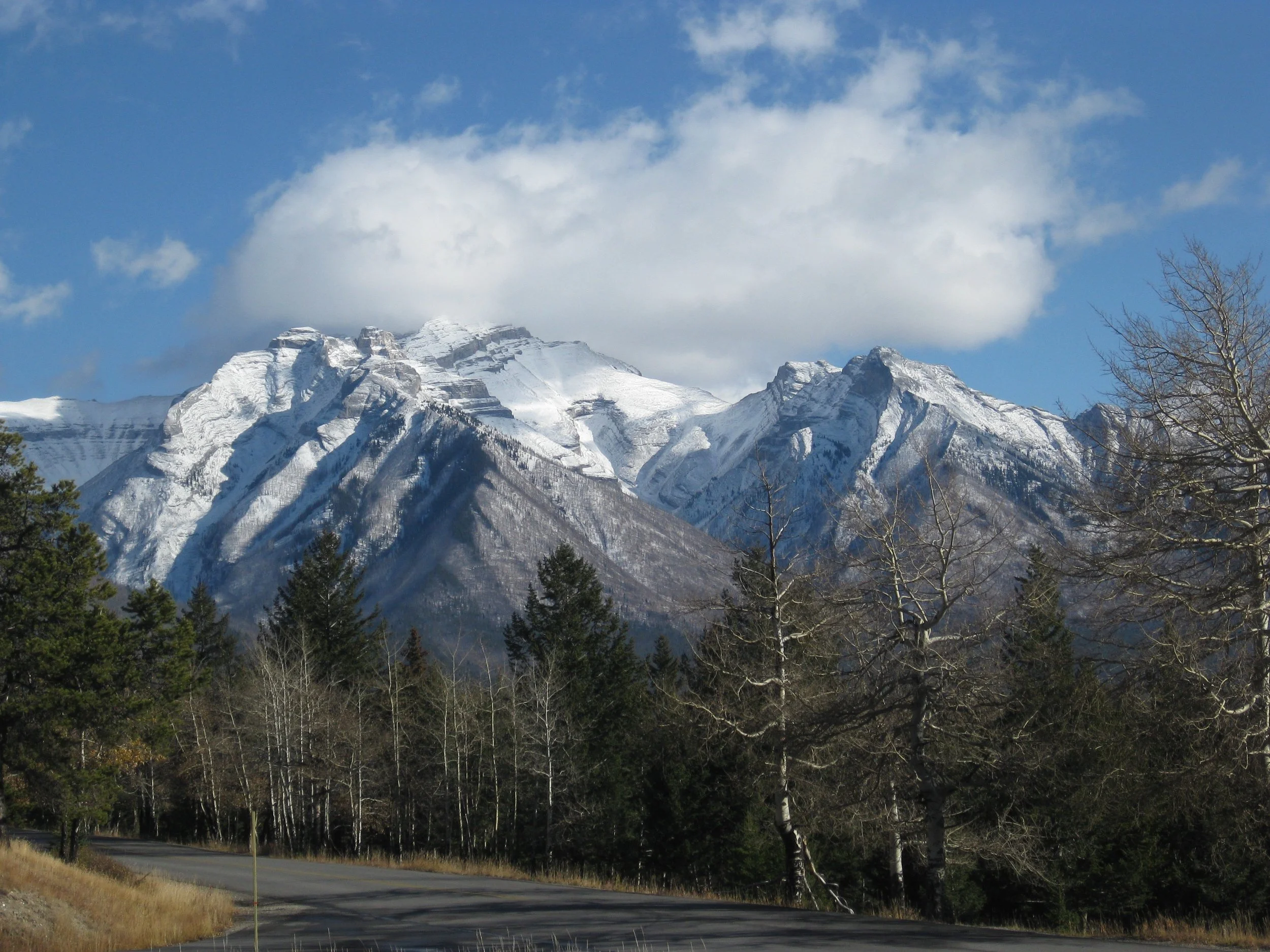 IMG_4451.jpg