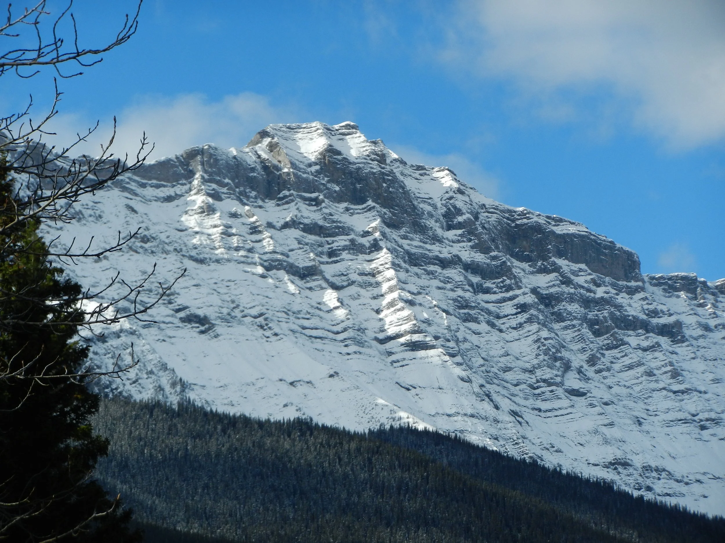 DSCN3513.jpg