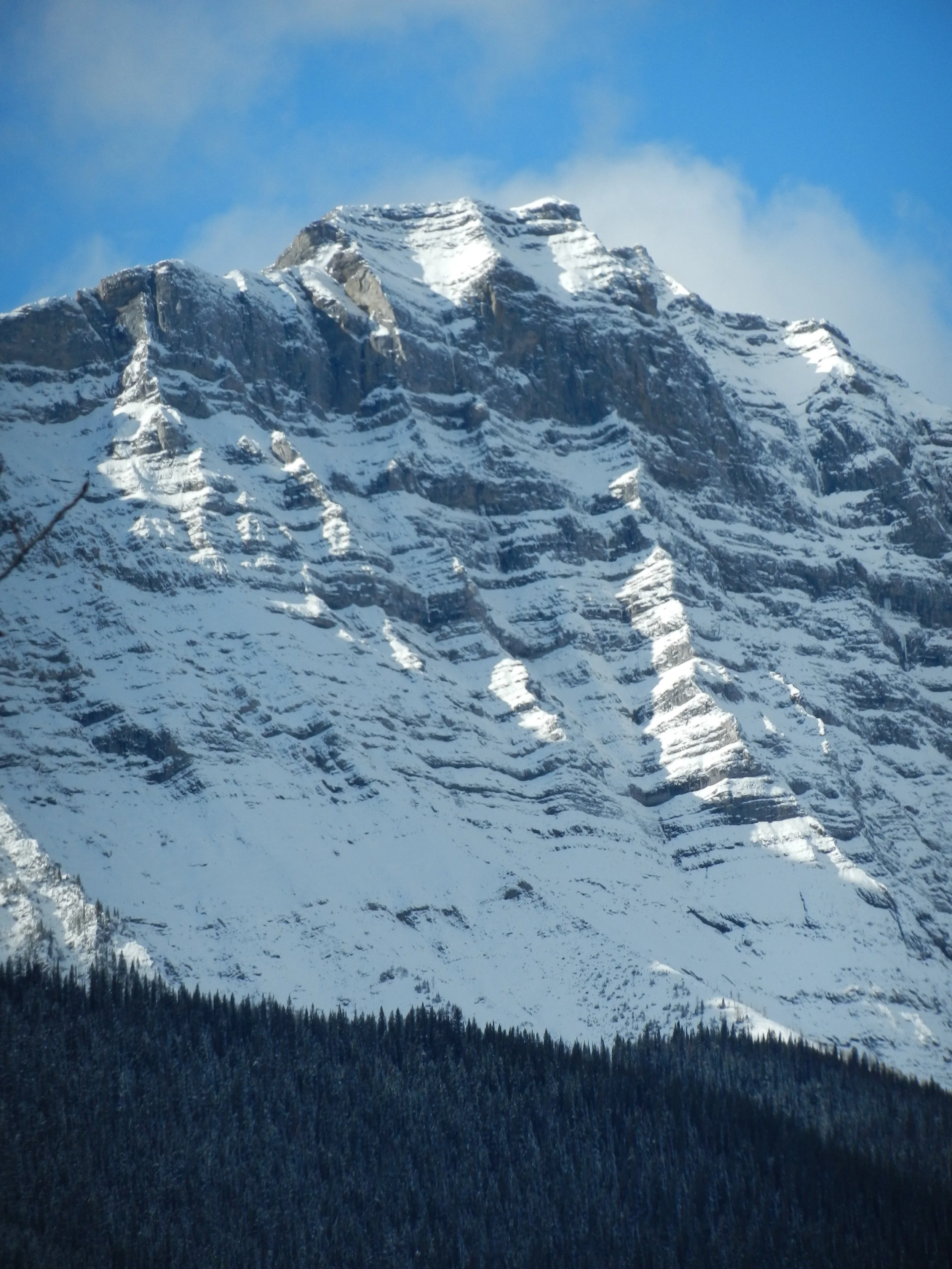 DSCN3527.jpg